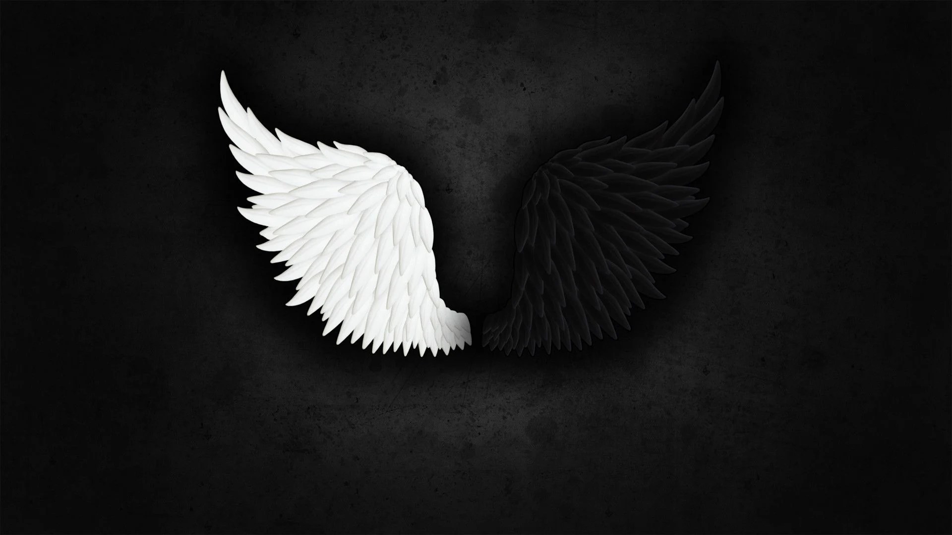 Black And White Wings Wallpapers Wallpaper Cave