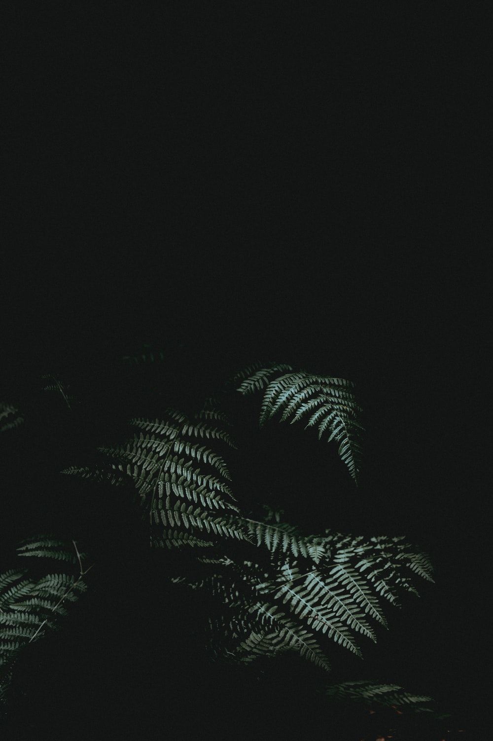 Dark Tone Wallpapers Wallpaper Cave