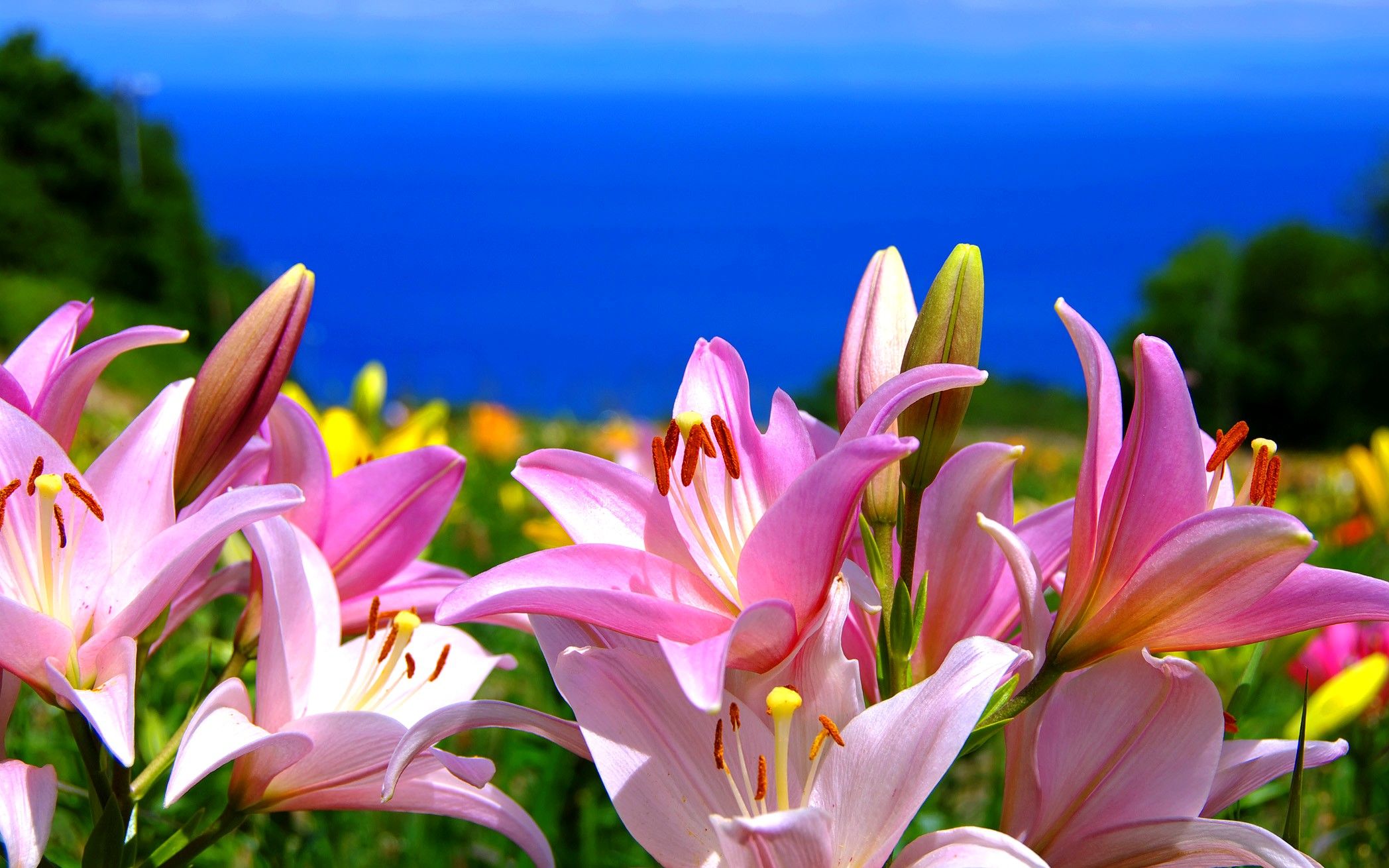 Spring Sea Wallpapers Wallpaper Cave