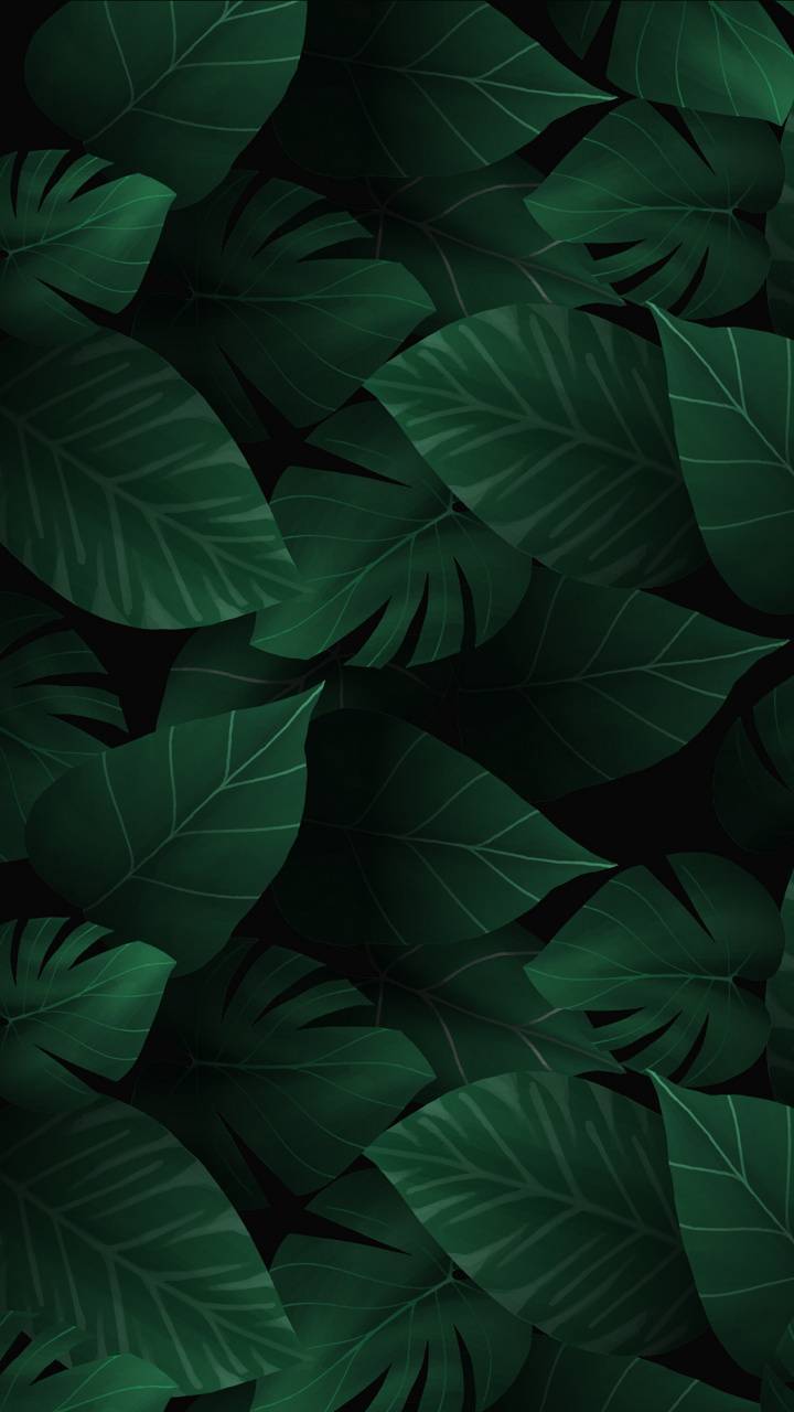 Top more than 79 dark green leaves wallpaper best