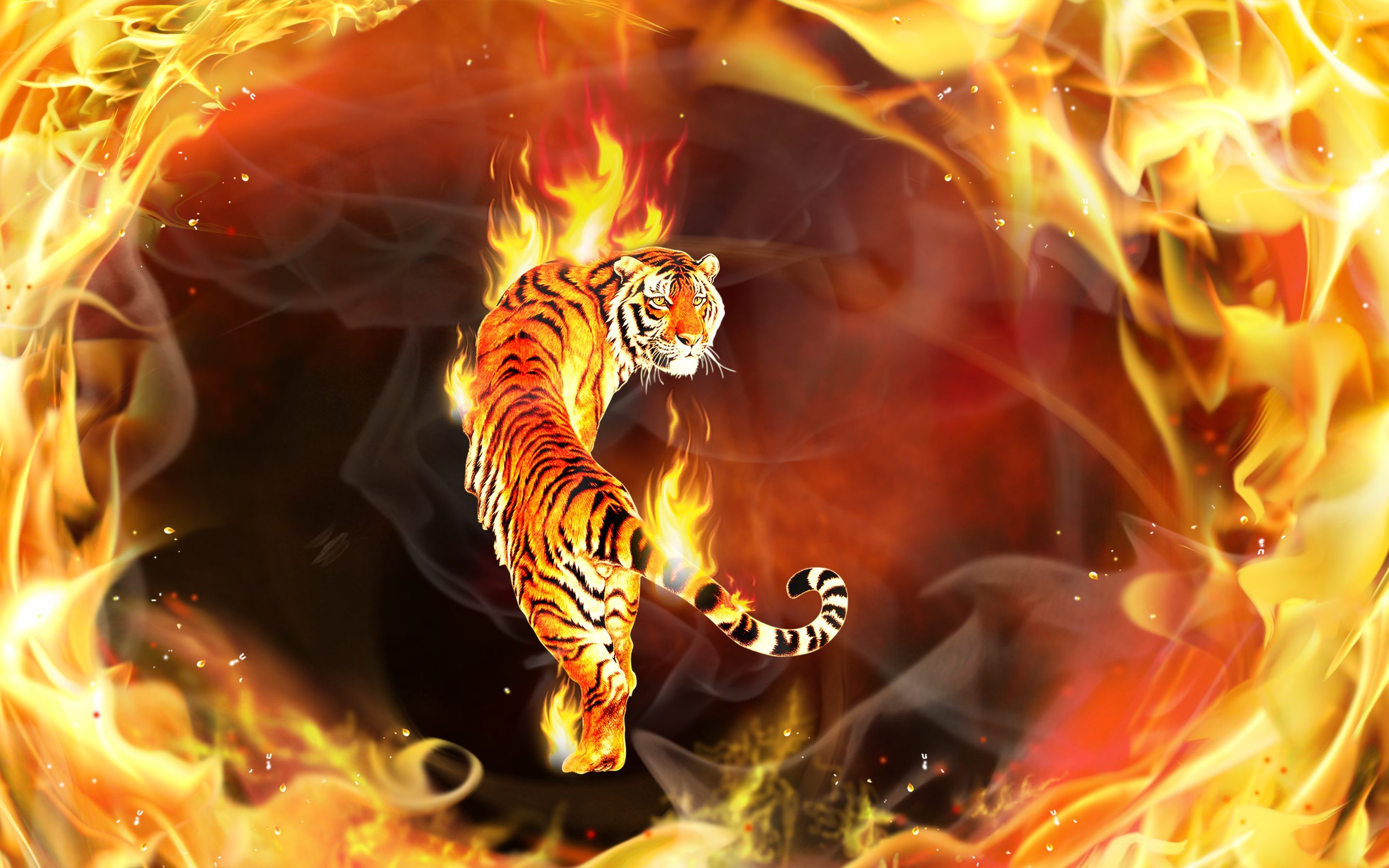 3D Fire Animal Wallpapers Wallpaper Cave