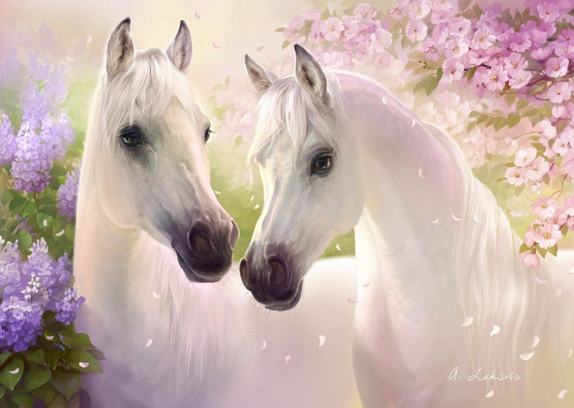 Horse Spring Wallpapers Wallpaper Cave