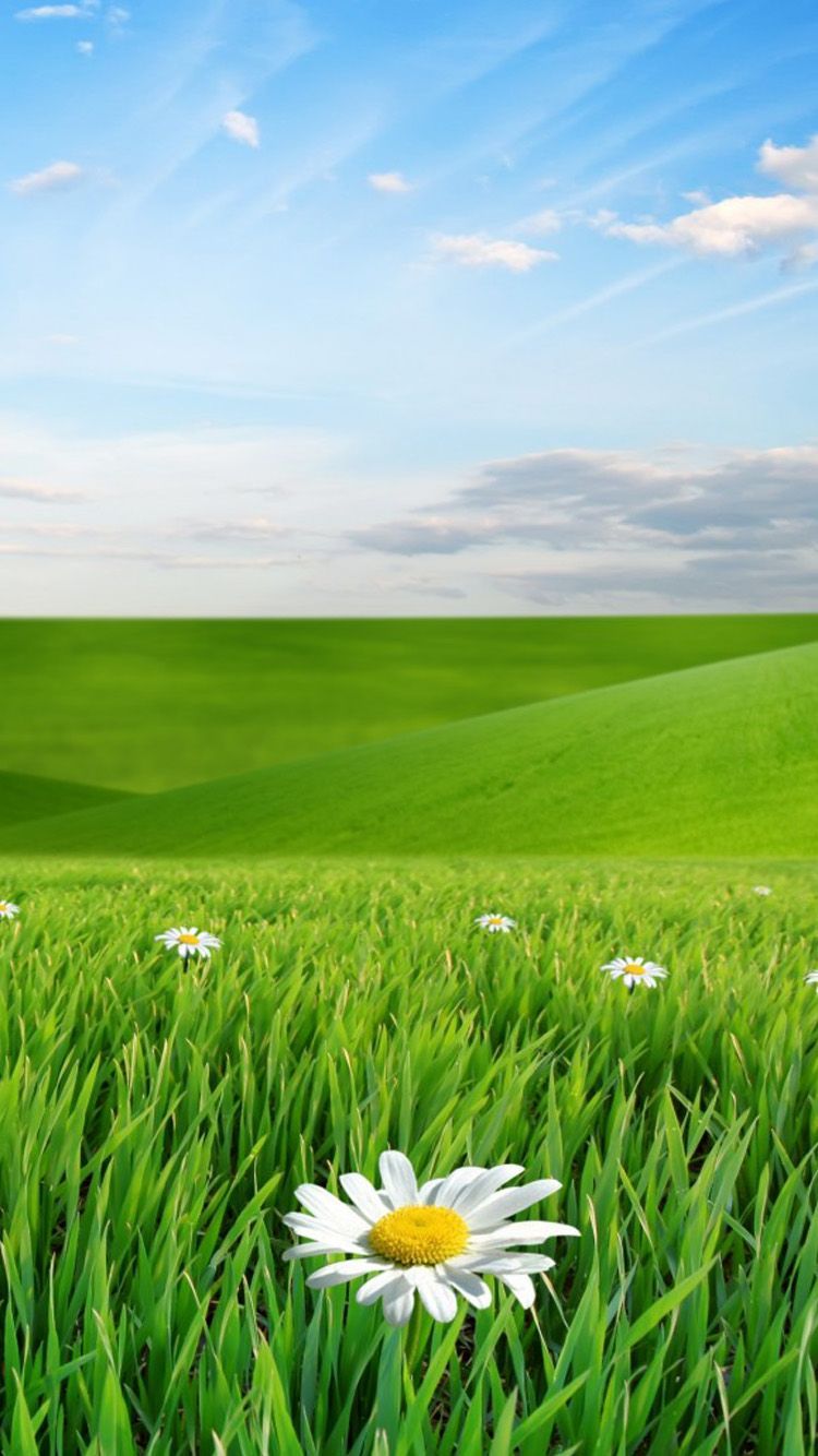 Eye Protection Wallpapers Wallpaper Cave