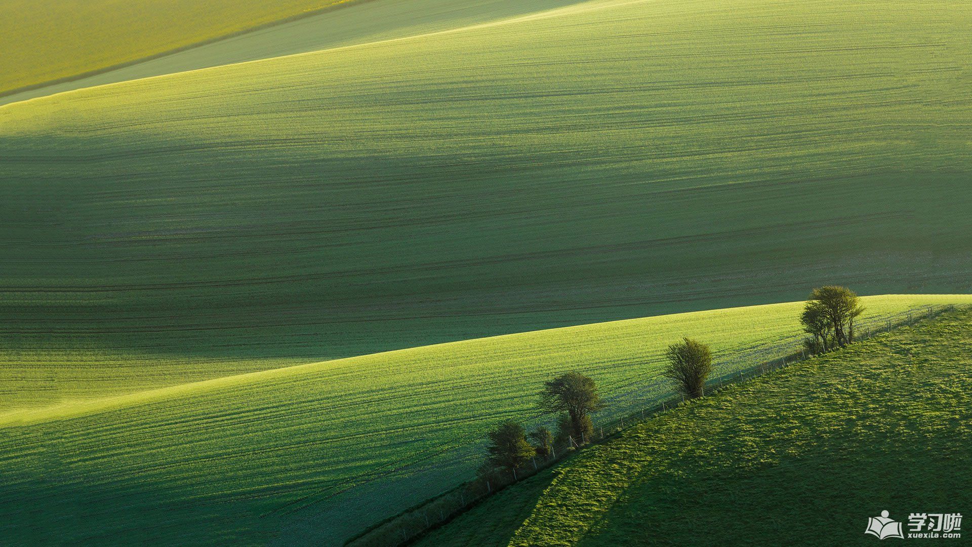 Eye Protection Desktop Wallpapers Wallpaper Cave