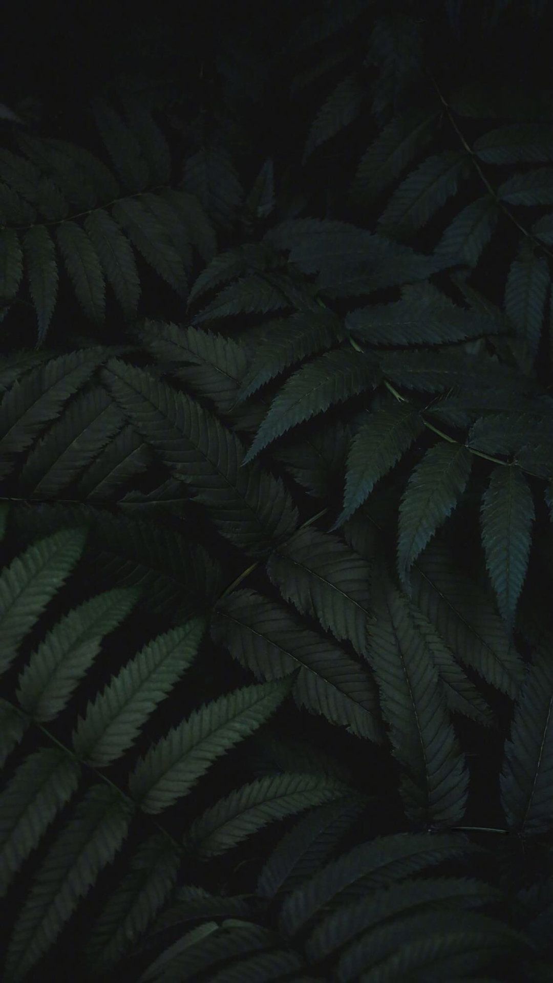 Eye Protection Wallpapers Wallpaper Cave