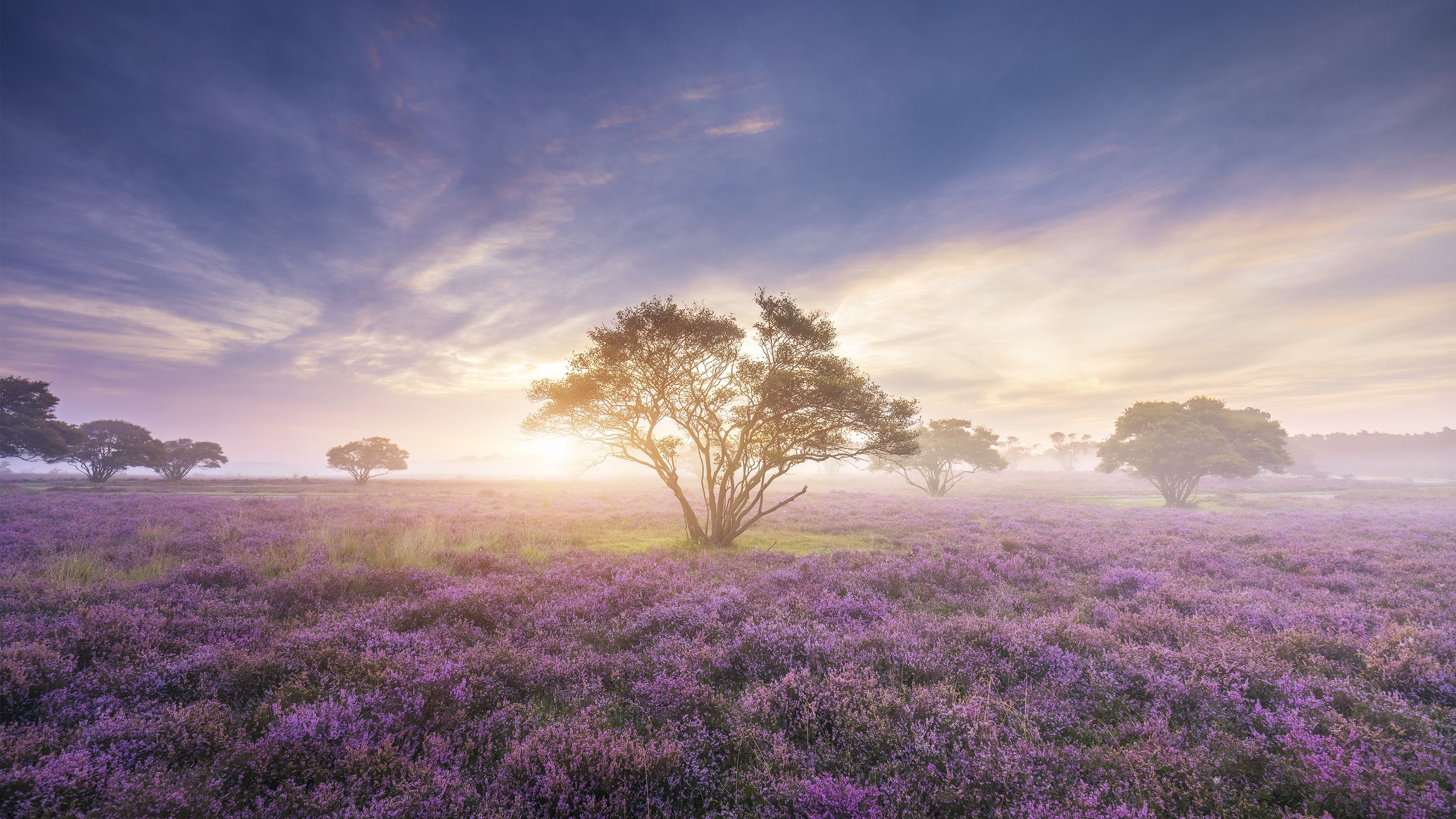 Sunrise Spring Wallpapers Wallpaper Cave