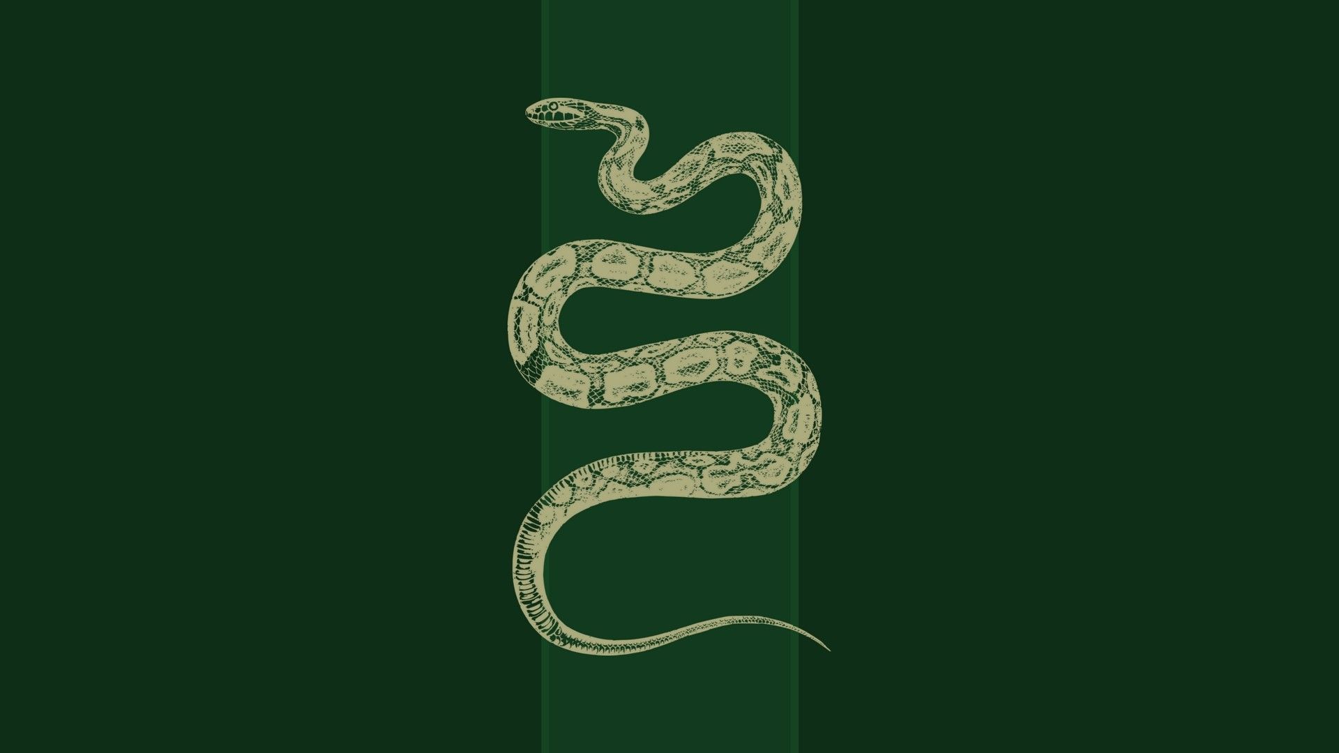 Slytherin Laptop Wallpapers Wallpaper Cave