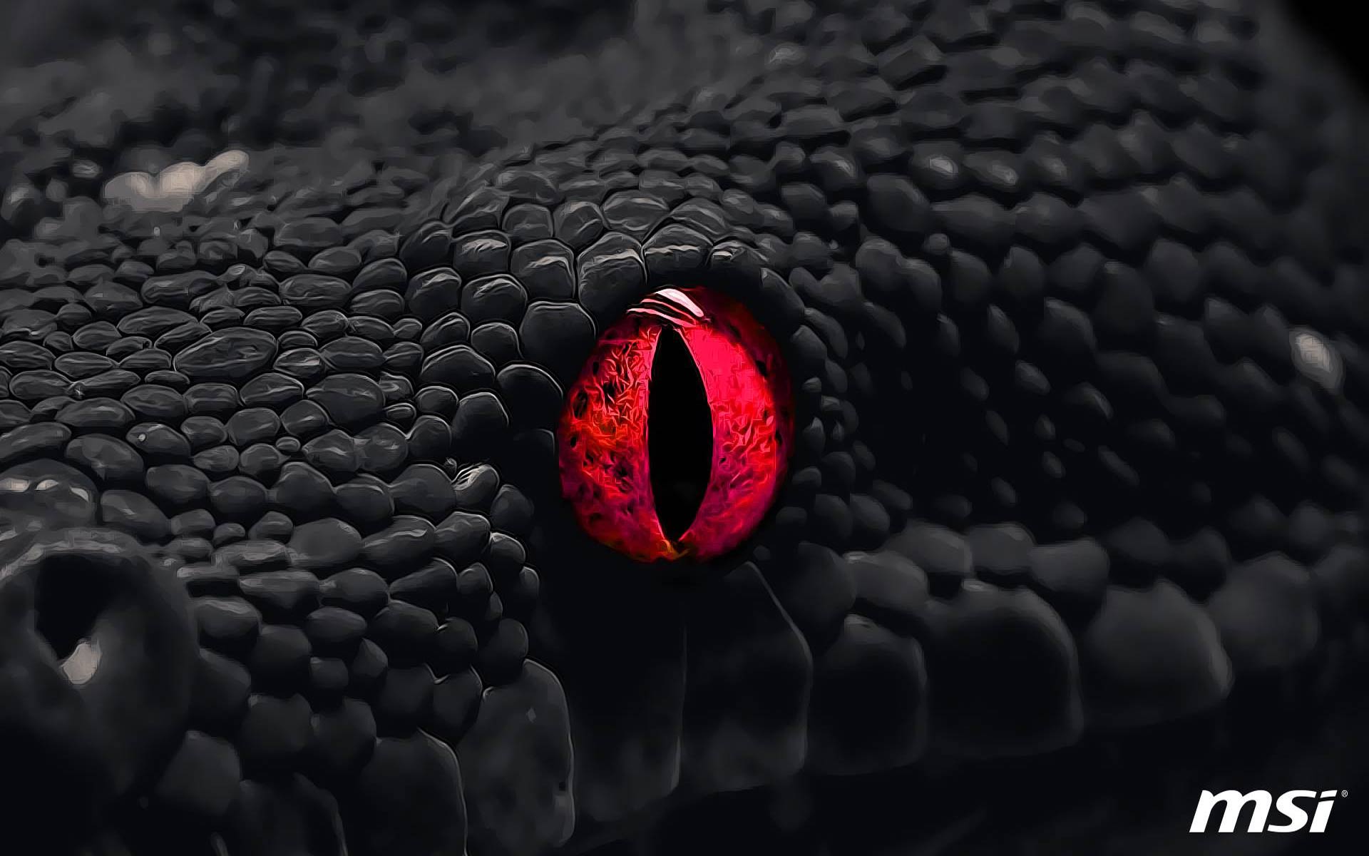 Red Snakes Wallpapers Wallpaper Cave