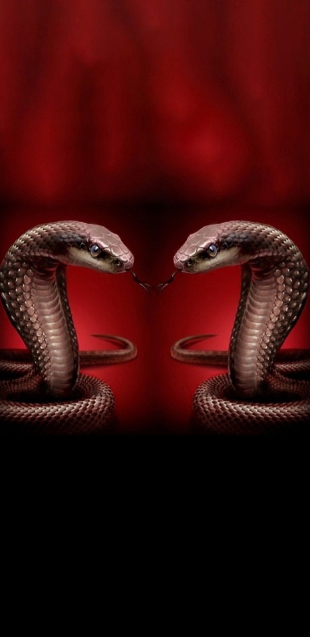Red Snakes Wallpapers Wallpaper Cave