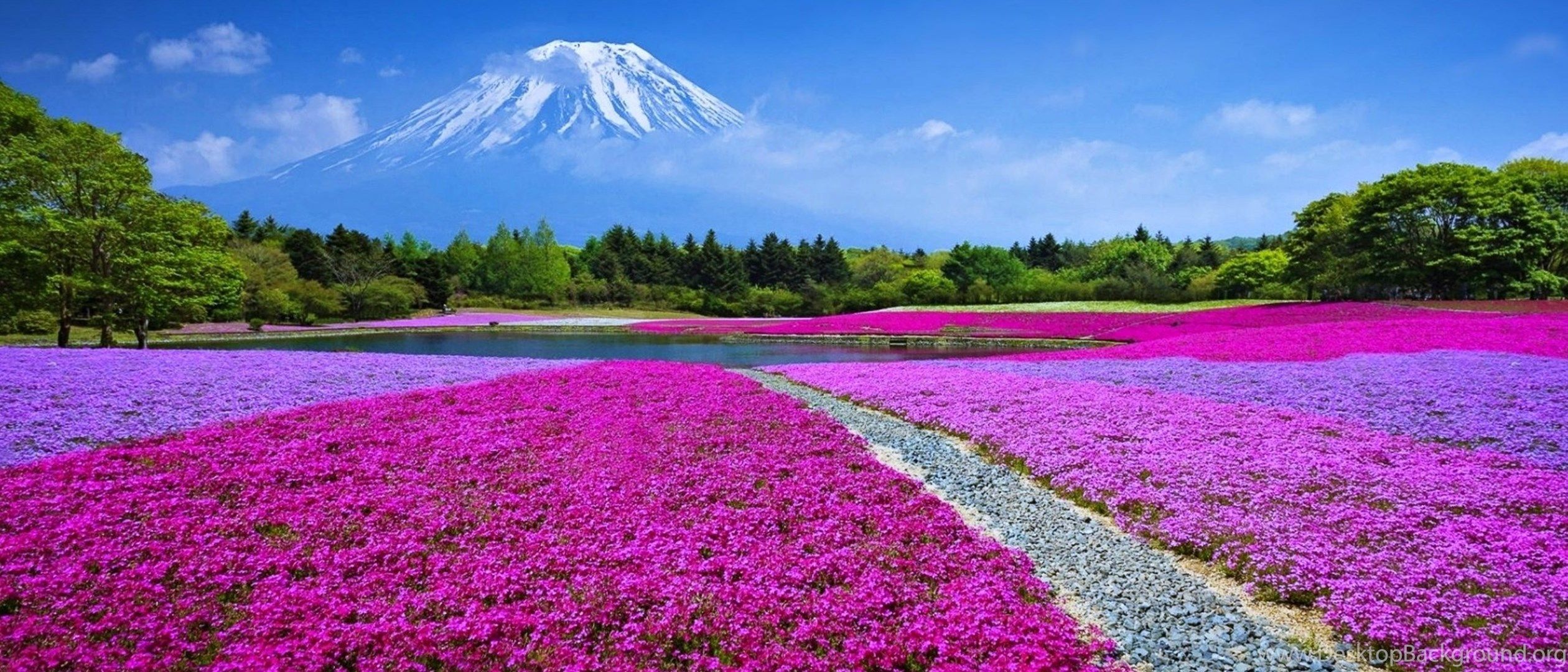 Spring Dual Monitor Wallpapers Wallpaper Cave