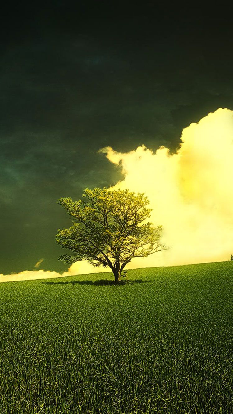 4k Spring Mobile Wallpapers Wallpaper Cave