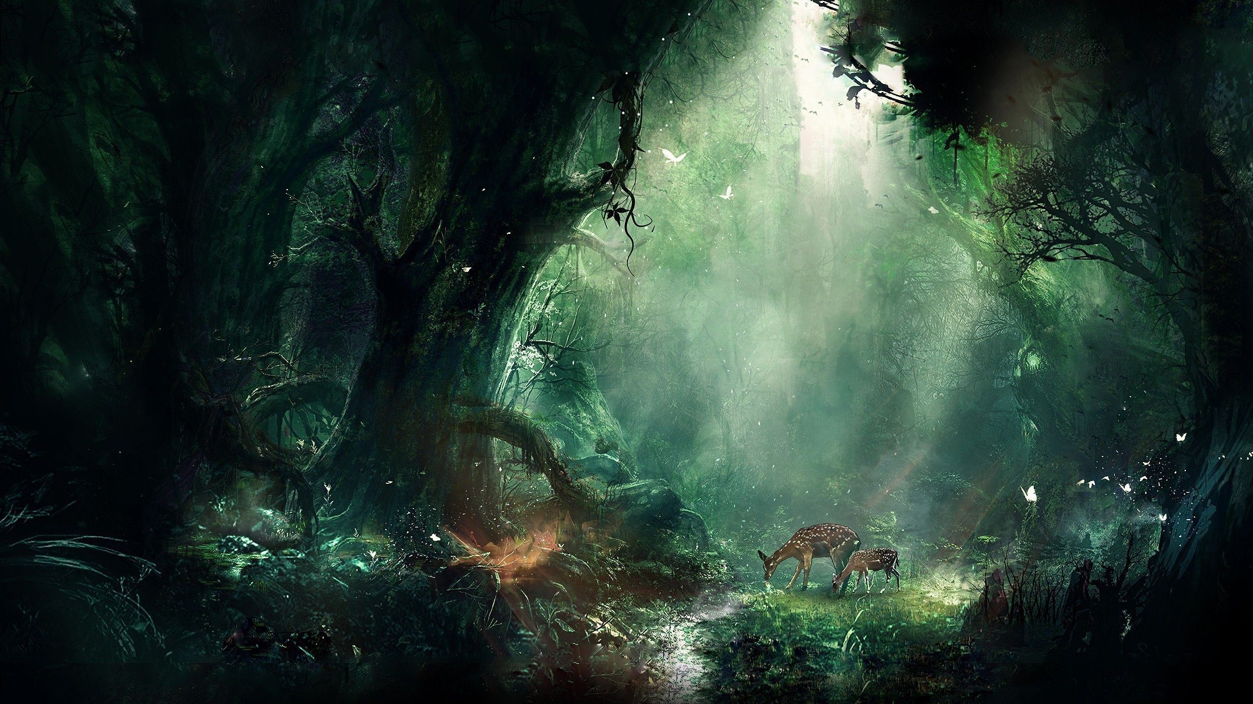 The Forbidden Forest Harry Potter Wallpapers Wallpaper Cave