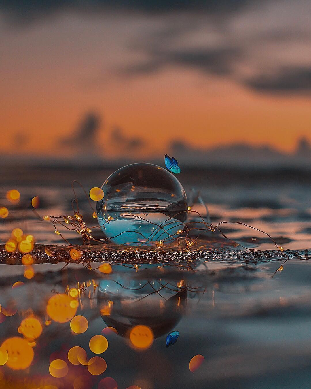 Butterfly At Sunset Wallpapers Wallpaper Cave