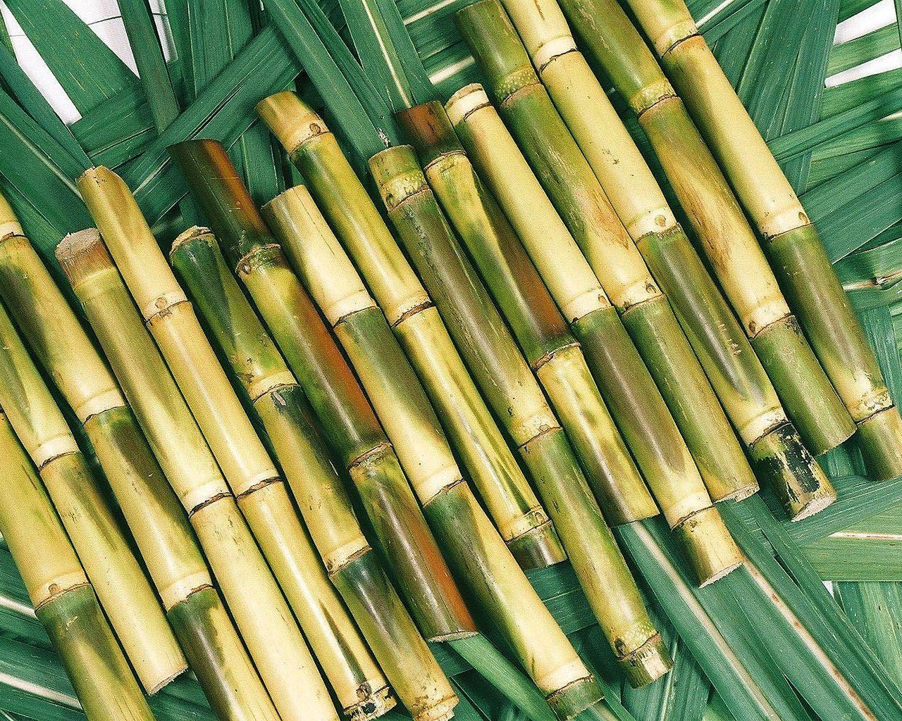 Sugar Cane Wallpapers Wallpaper Cave