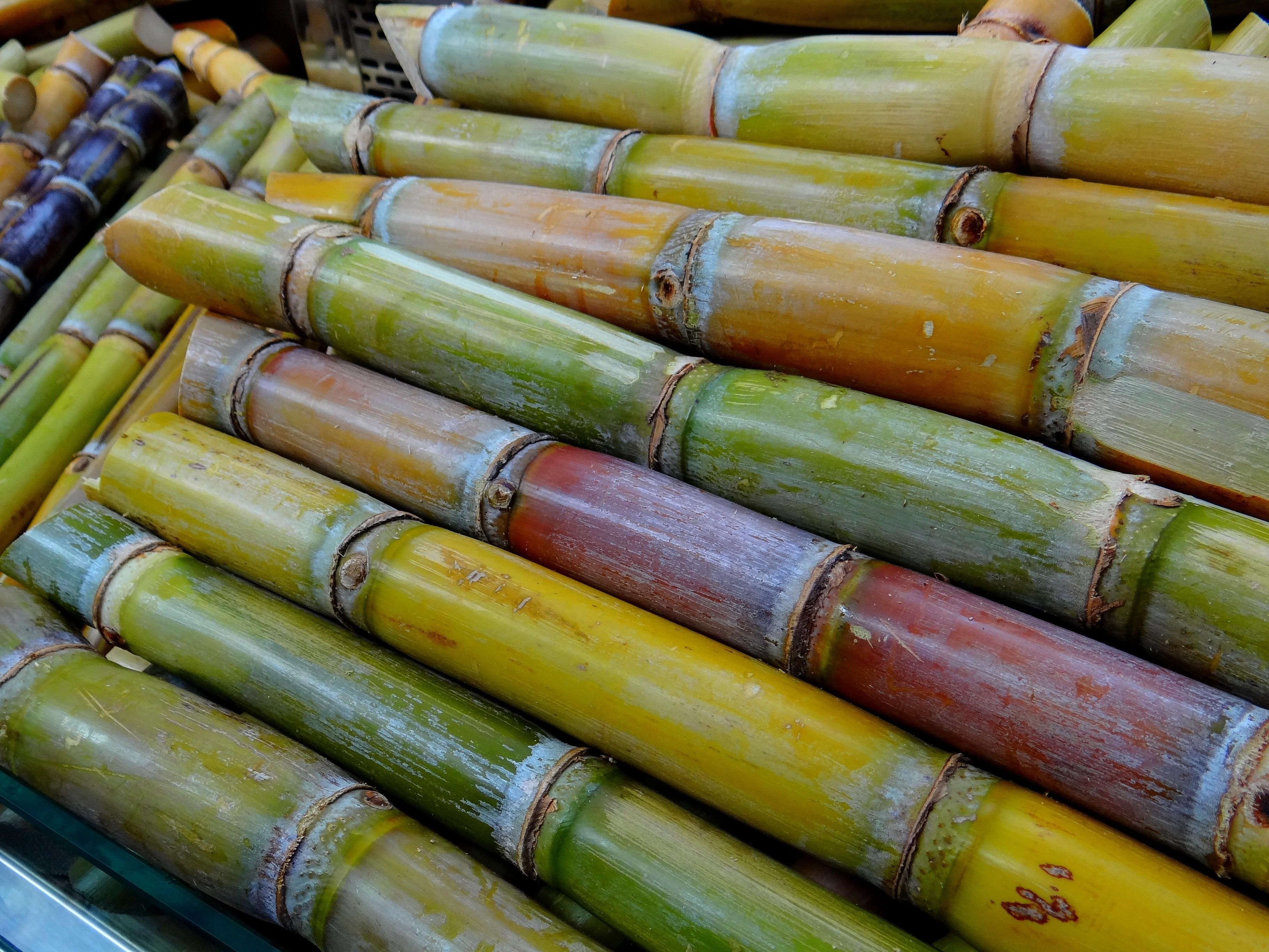 Sugar Cane Wallpapers Wallpaper Cave