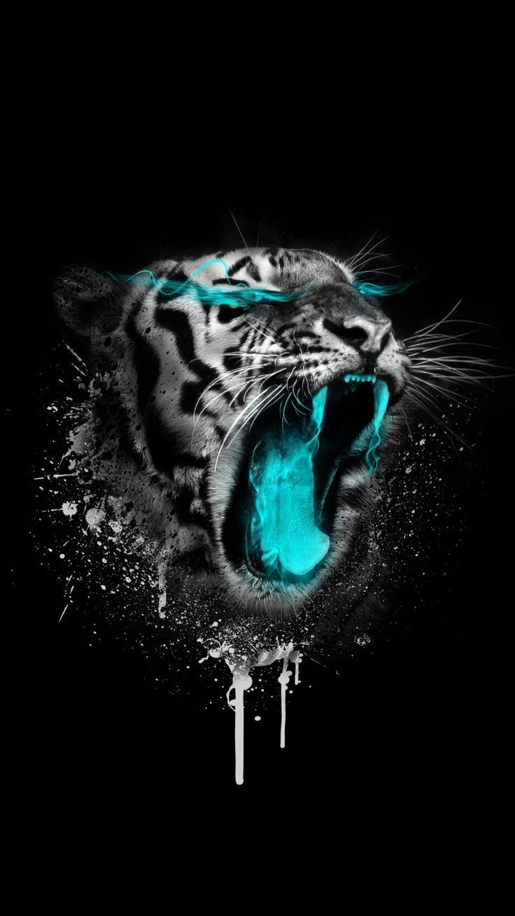 Tiger Dark Wallpapers Wallpaper Cave