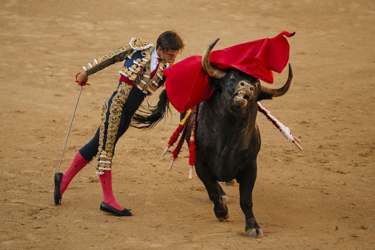 Bull Fight Wallpapers Wallpaper Cave