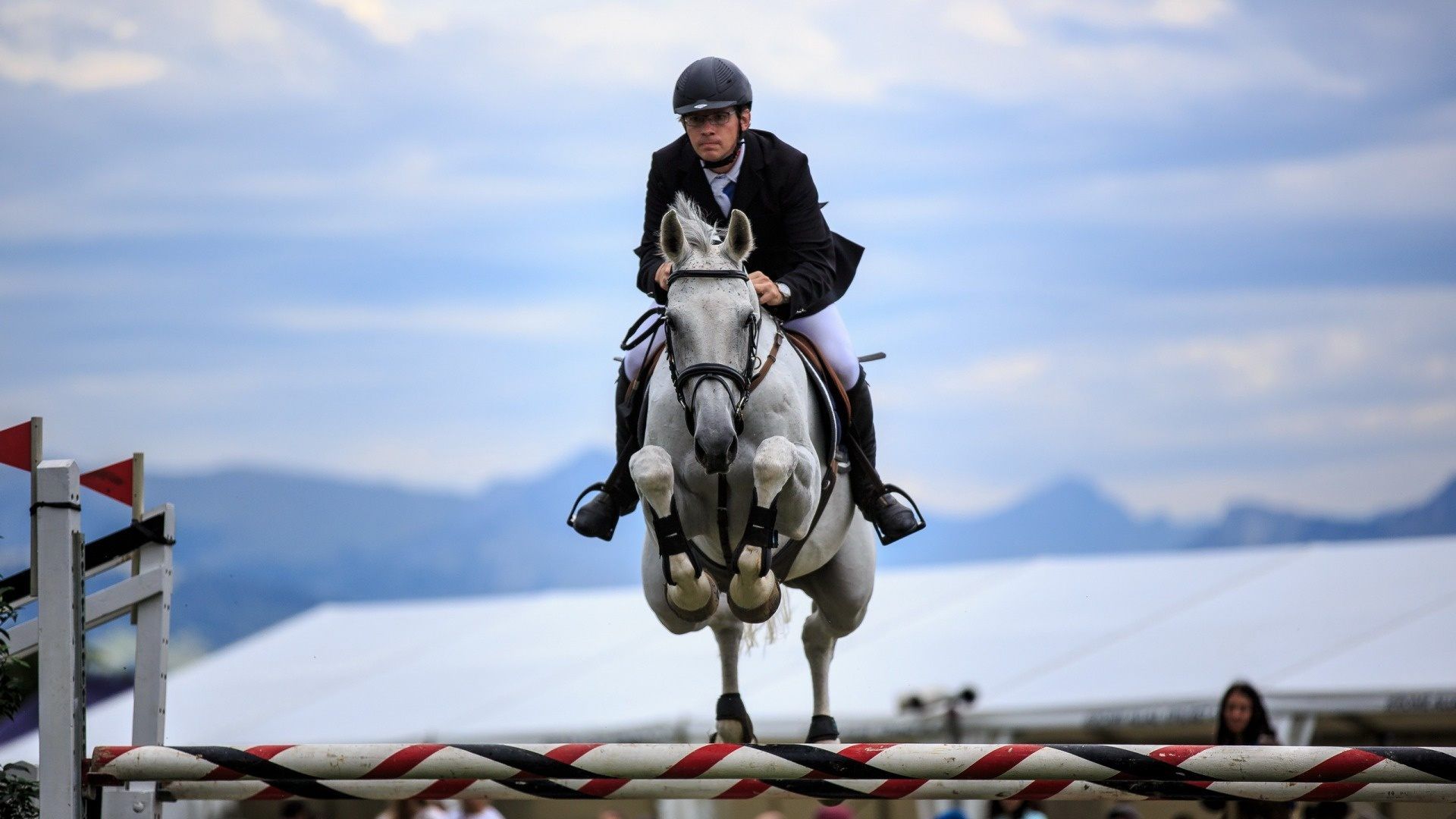 Show Jumping Wallpapers Wallpaper Cave