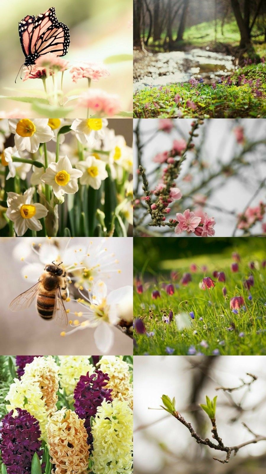 Aesthetic Collage Spring Wallpapers Wallpaper Cave