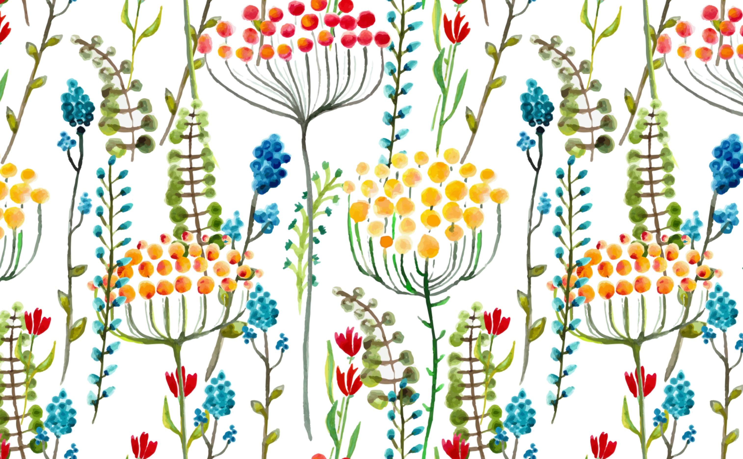 Delicate Flowers Wallpapers Wallpaper Cave