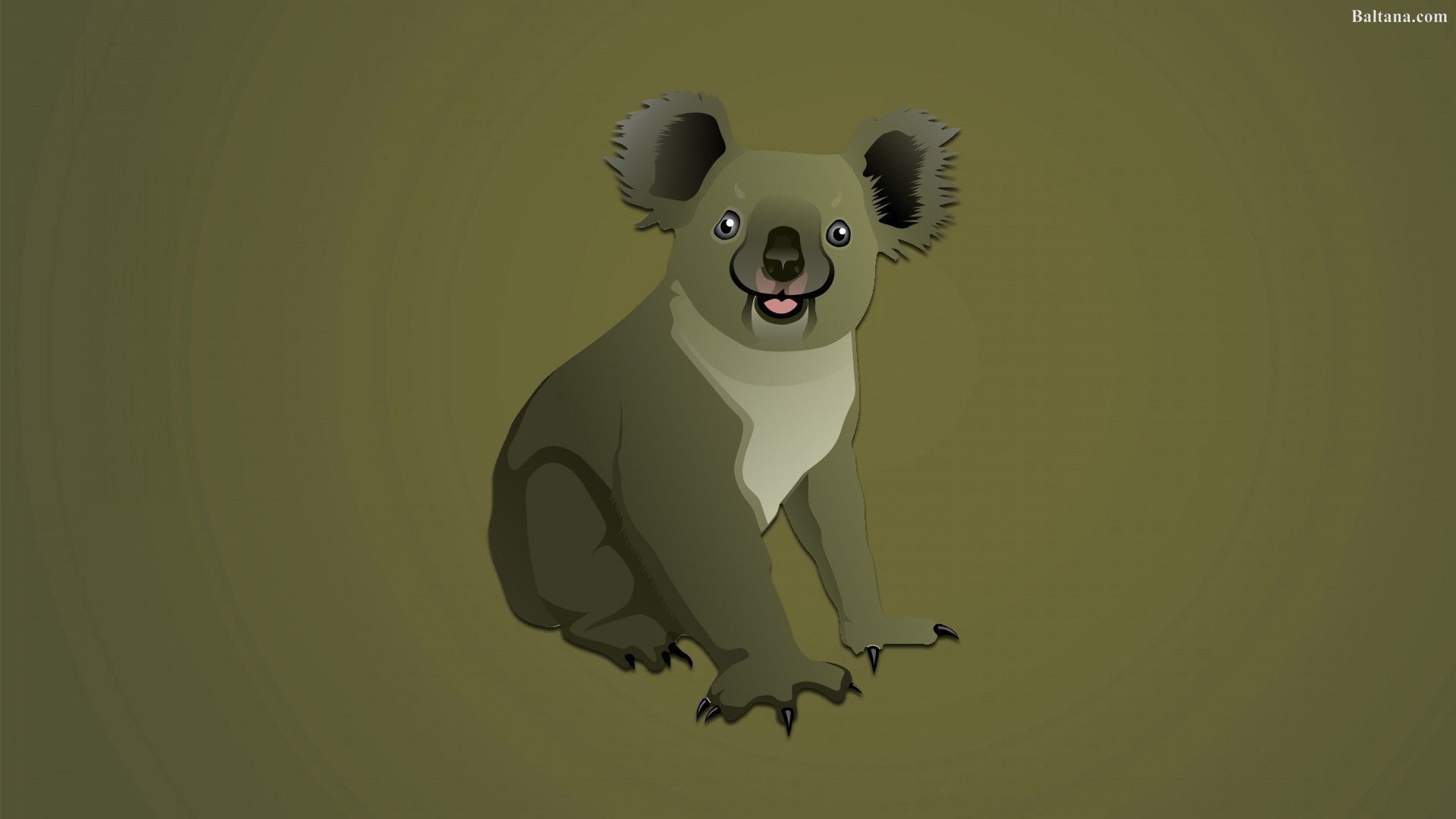 Cartoon Koalas Wallpapers Wallpaper Cave