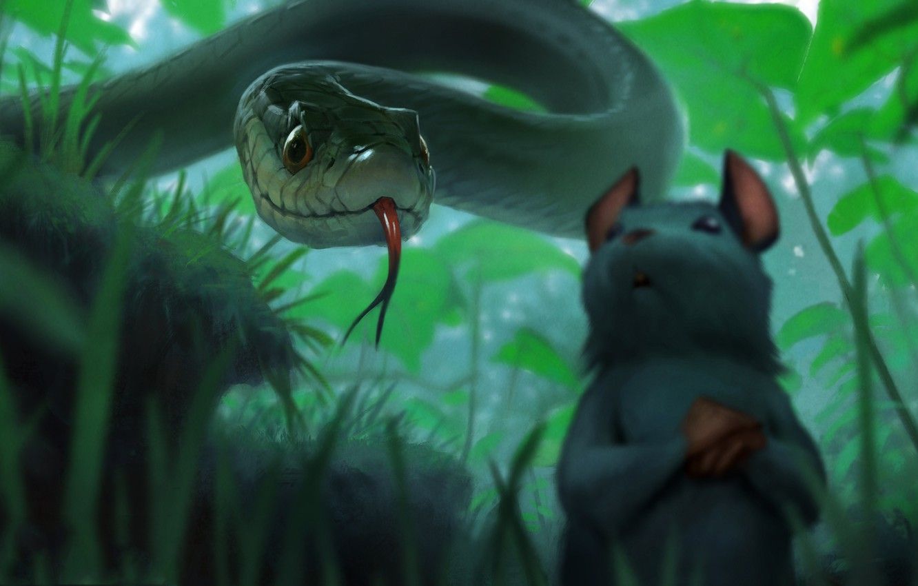 Food Chain Wallpapers Wallpaper Cave