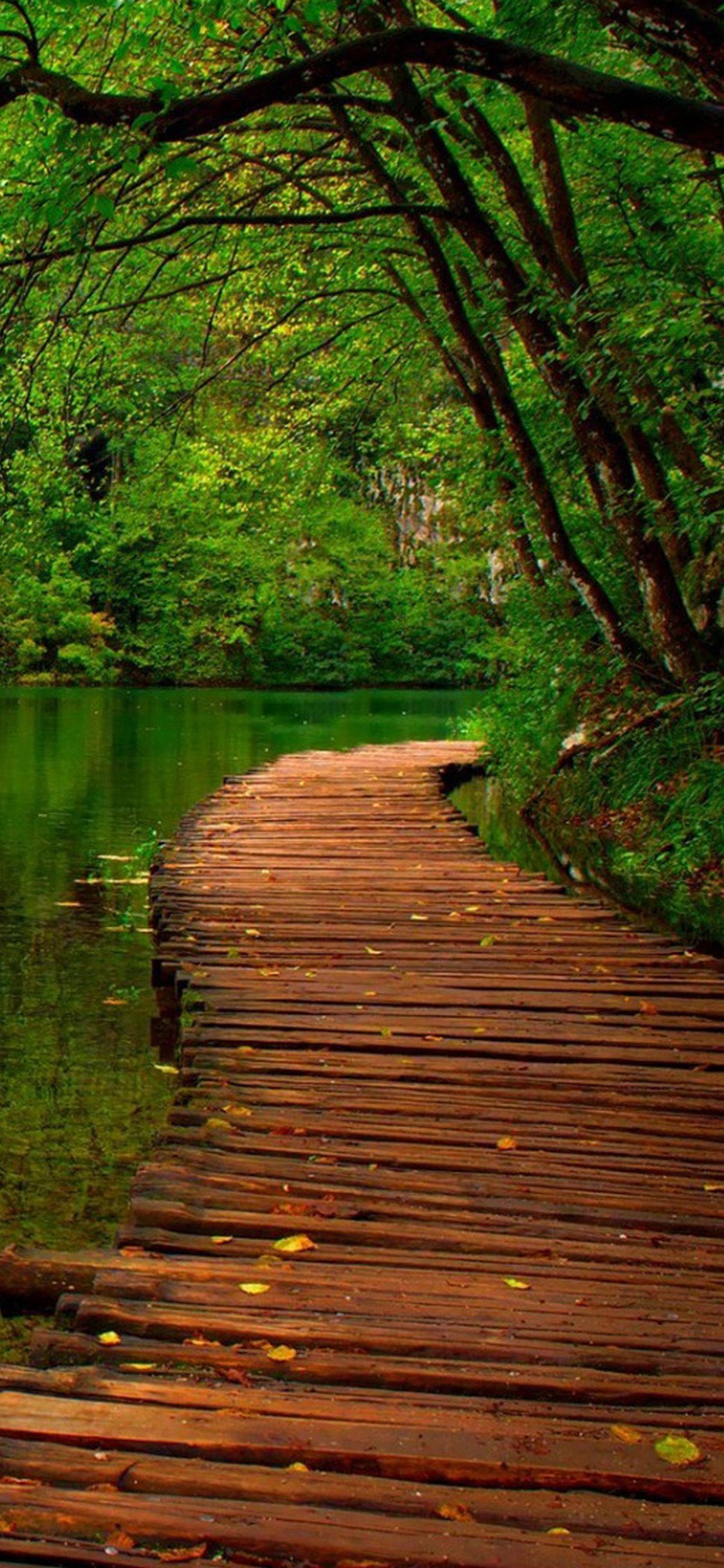 iPhone Green Nature HD Wallpapers Wallpaper Cave