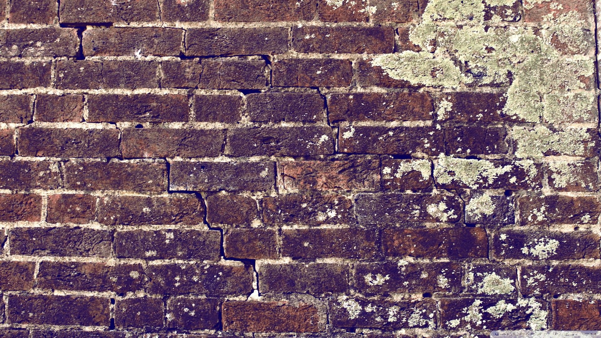 Brick Wall Desktop Wallpapers Wallpaper Cave