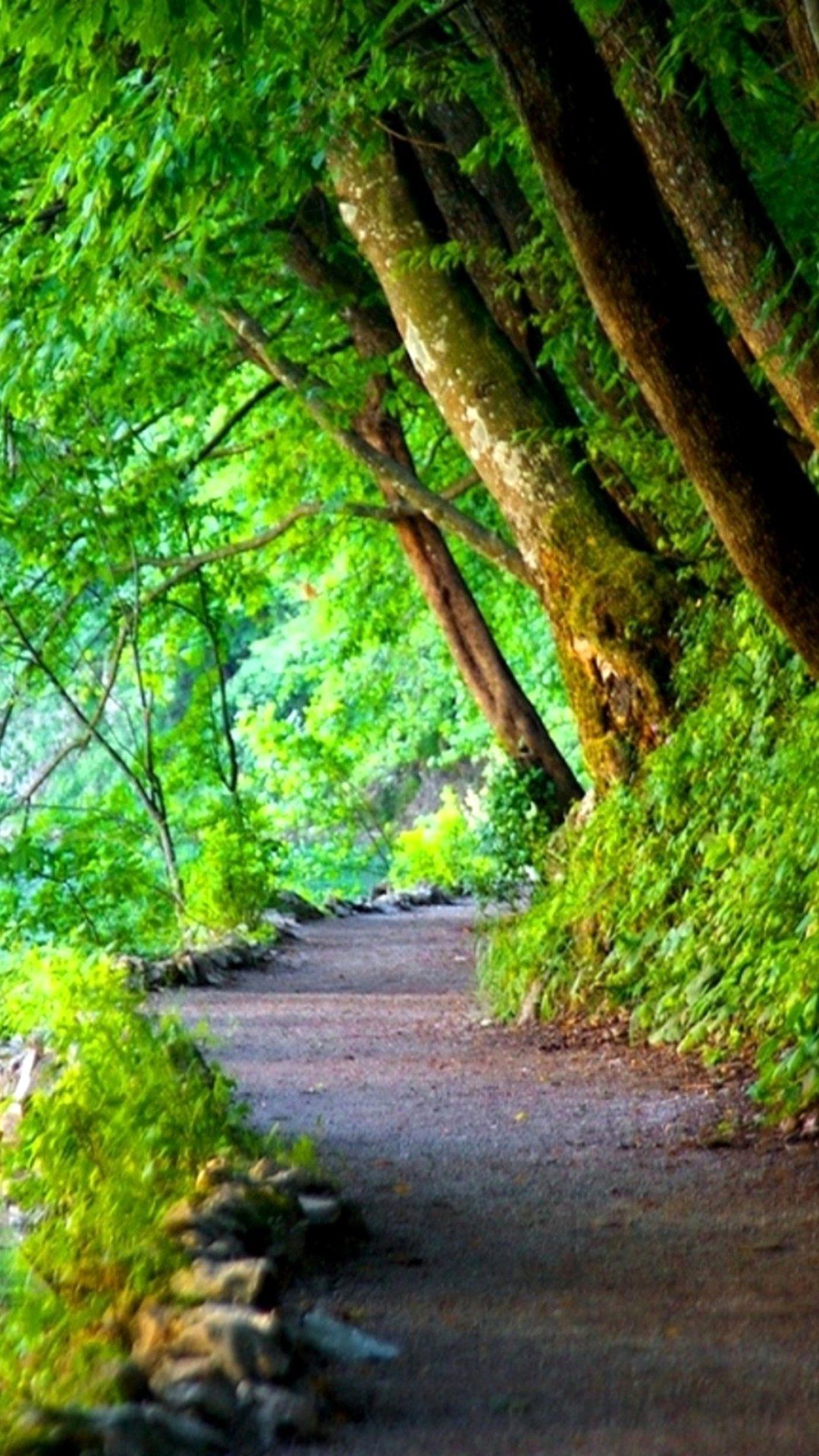 iPhone Green Nature HD Wallpapers Wallpaper Cave