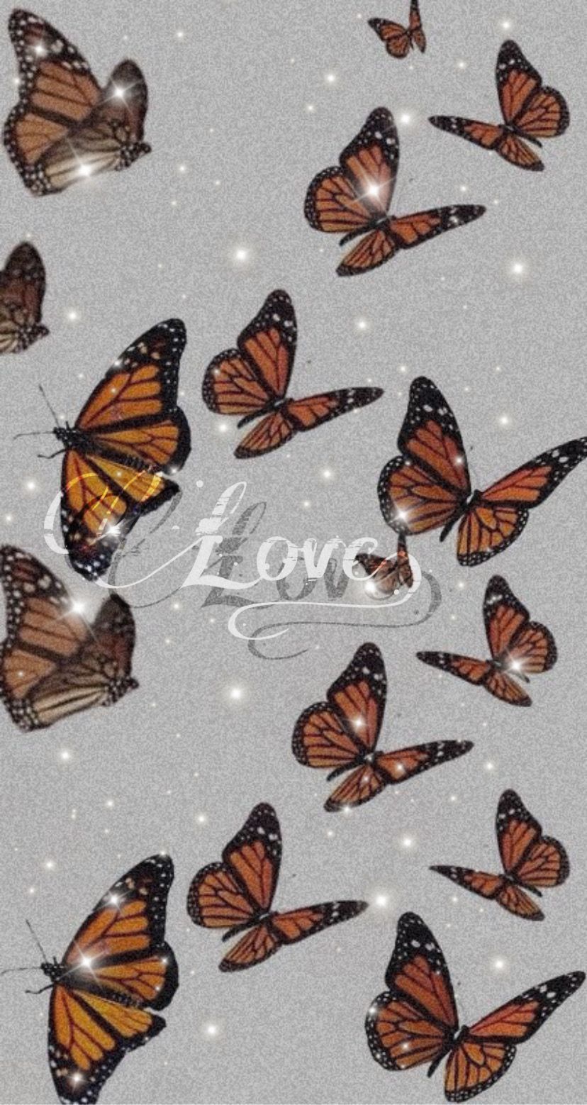 Cute Aesthetic Butterfly Wallpapers Wallpaper Cave