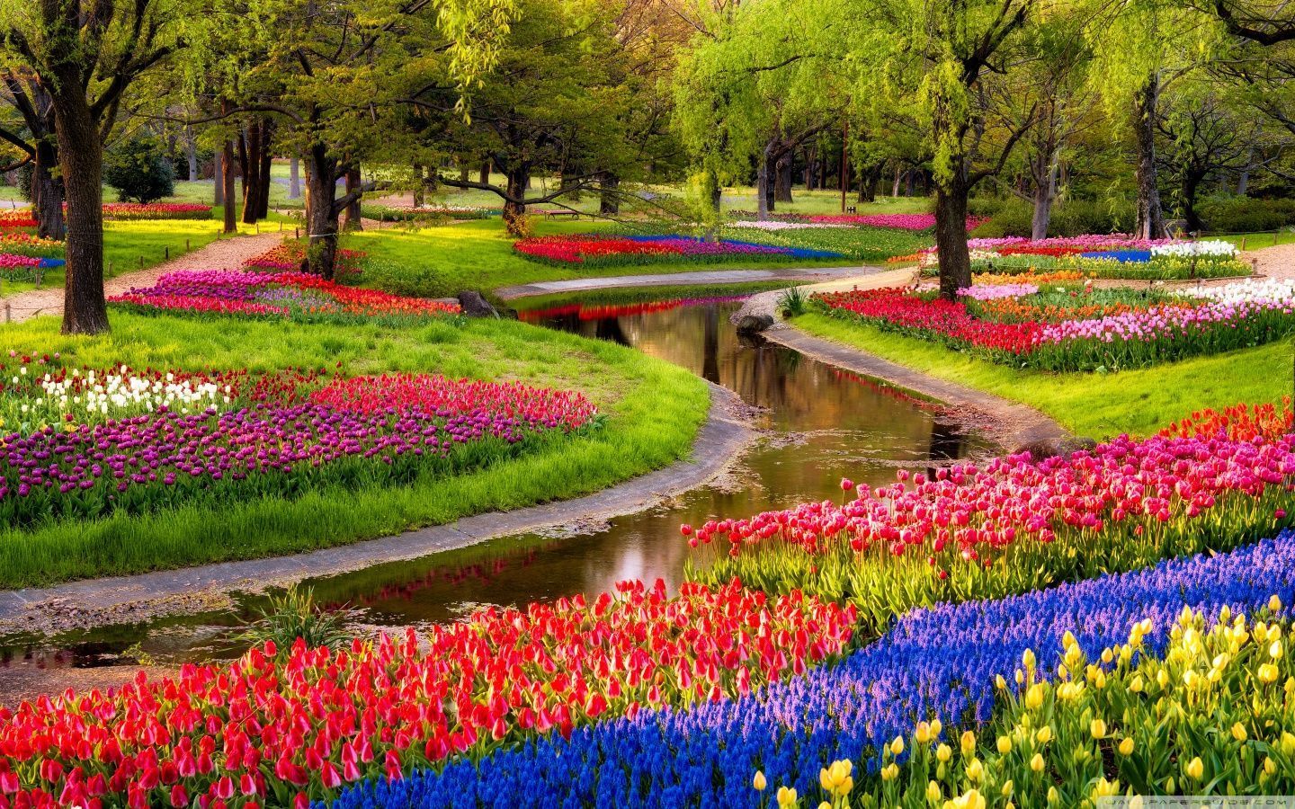 Spring Flower Field Wallpapers Wallpaper Cave