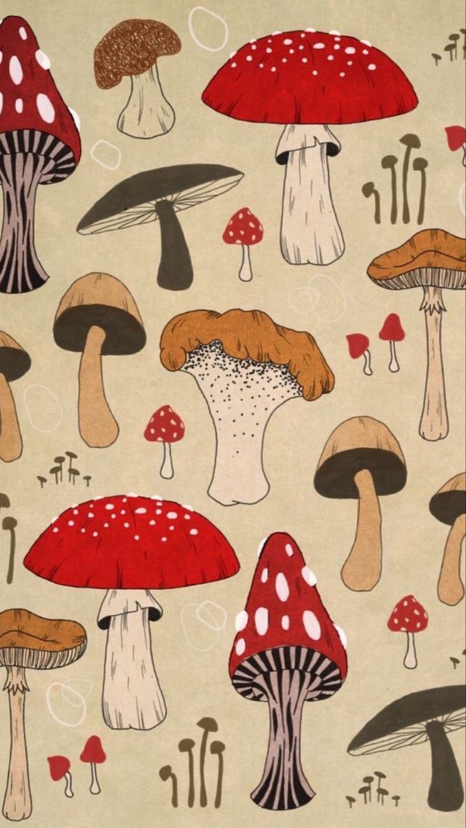 Mushroom Aesthetic Wallpapers Wallpaper Cave