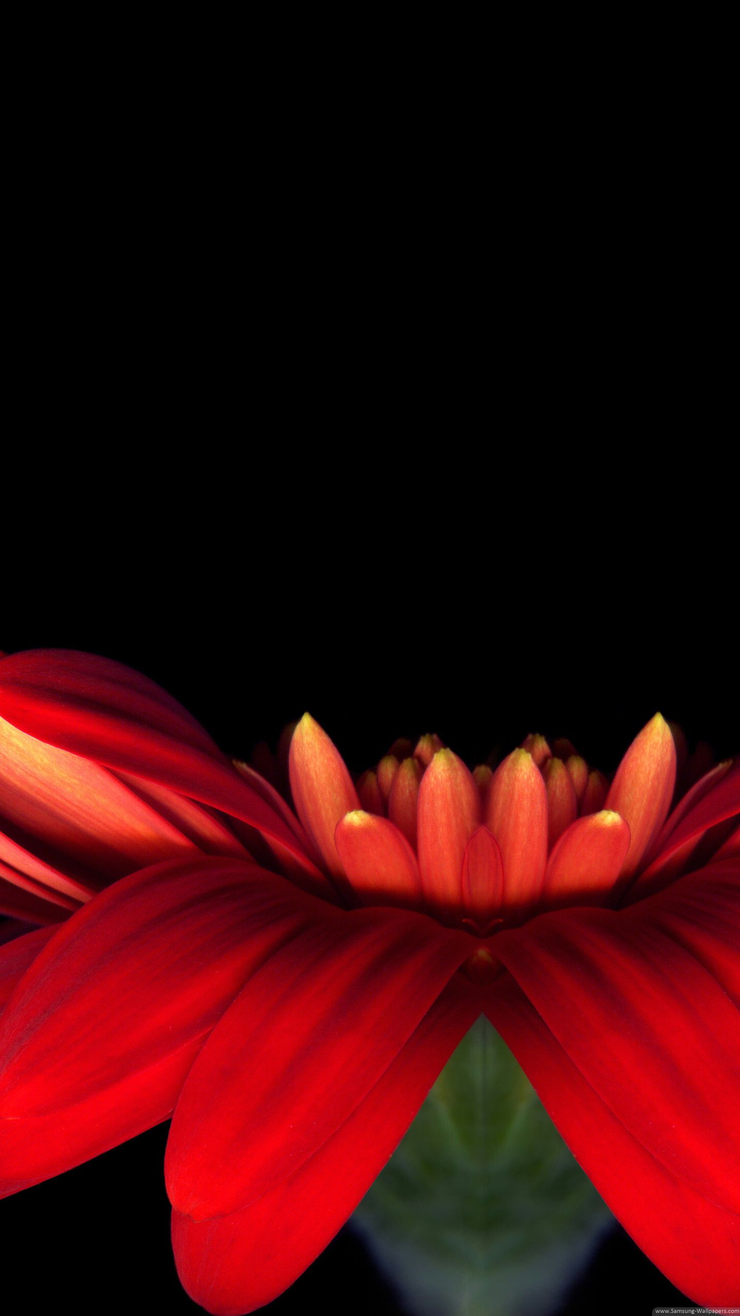 LG G5 Wallpapers Wallpaper Cave