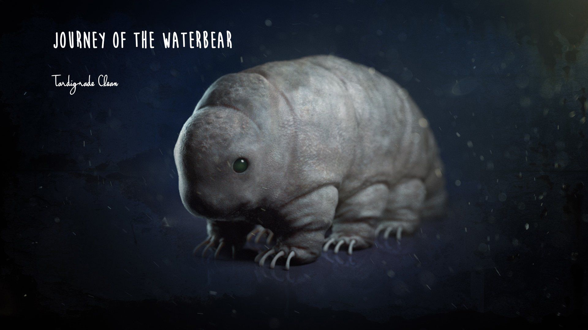 Tardigrade Wallpapers Wallpaper Cave