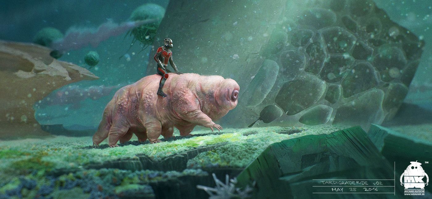Tardigrade Wallpapers Wallpaper Cave