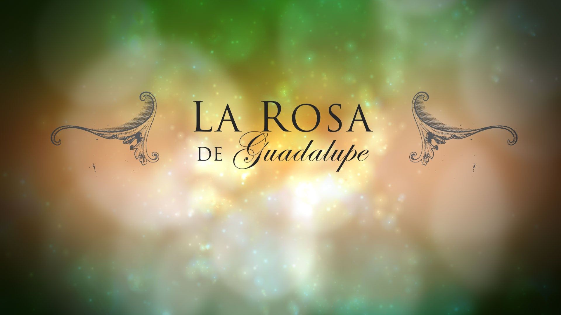 La Rosa De Guadalupe Wallpapers Wallpaper Cave