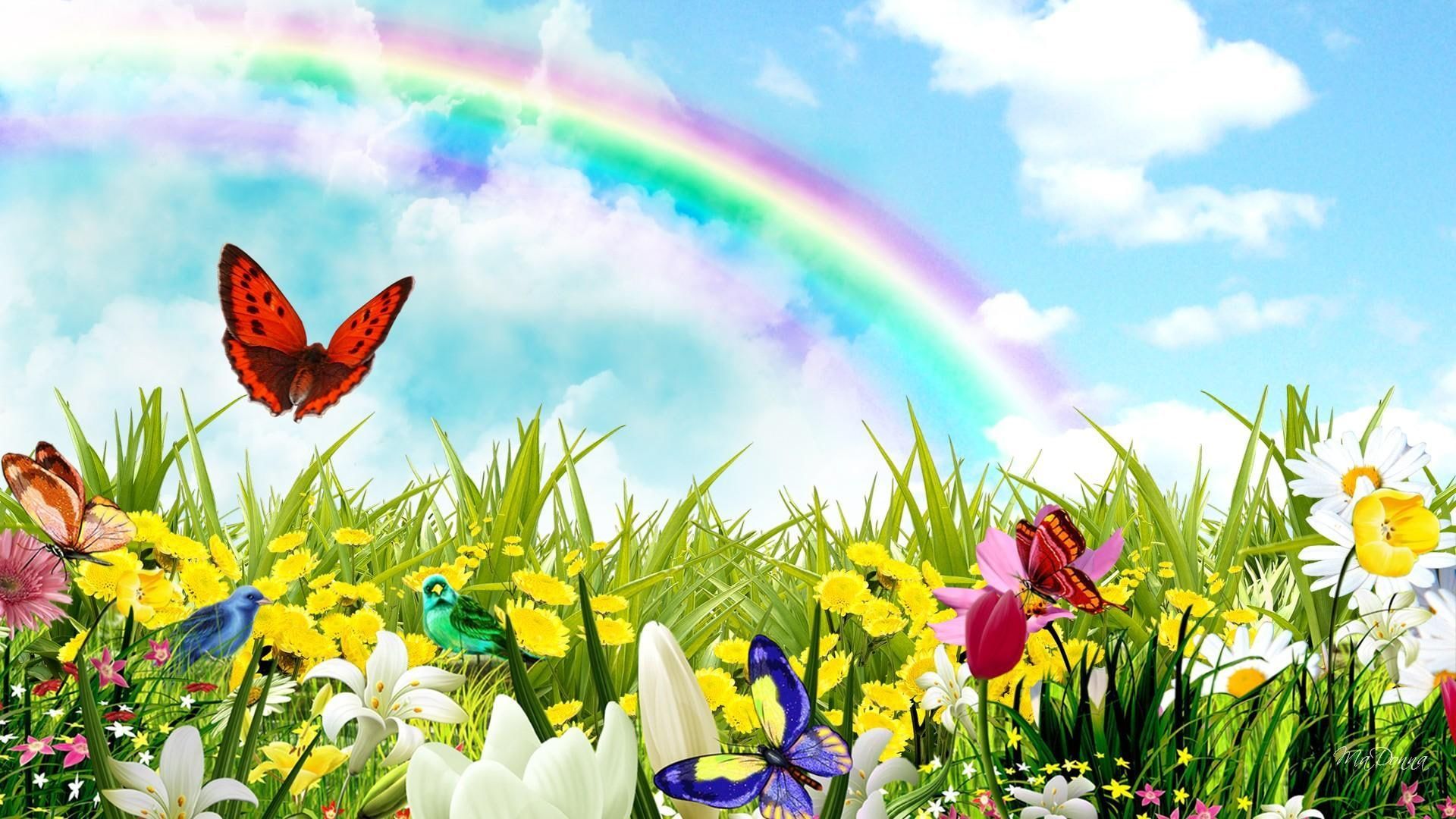 Spring Rainbow Wallpapers Wallpaper Cave