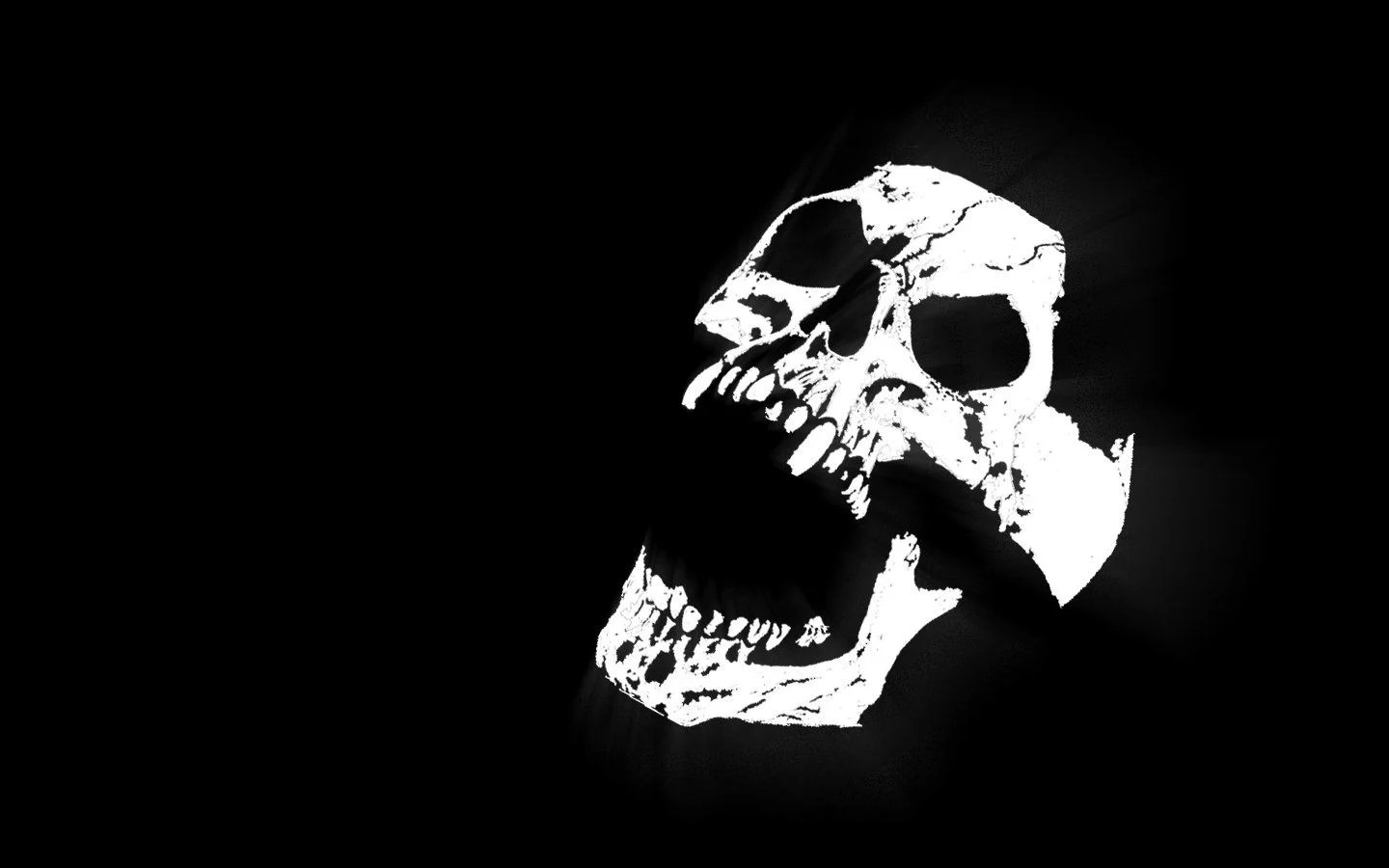 Black And White Skull Wallpapers Wallpaper Cave
