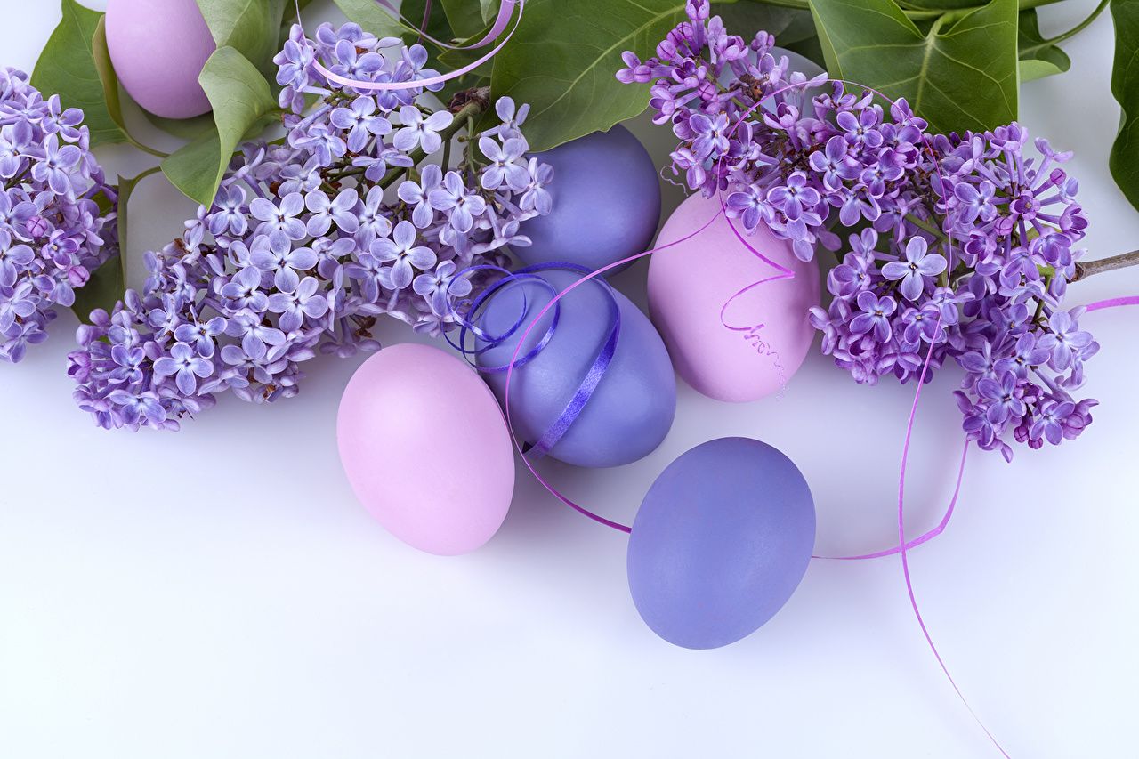 Easter Purple Wallpapers Wallpaper Cave