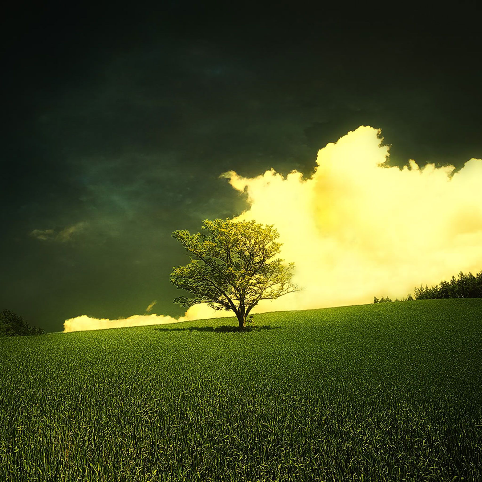 Spring Stormy Wallpapers Wallpaper Cave