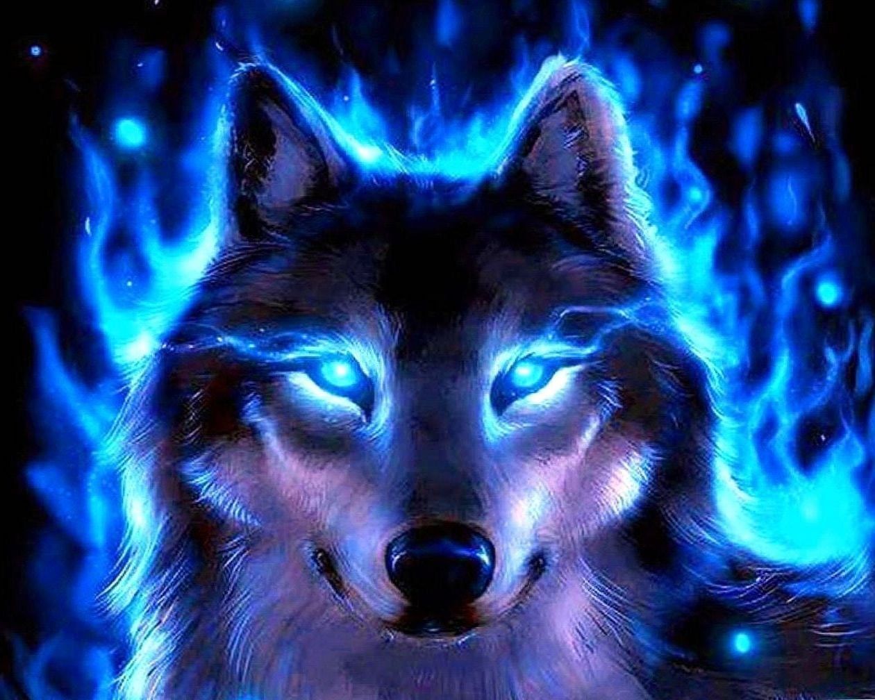 Blue Wolves Wallpapers Wallpaper Cave