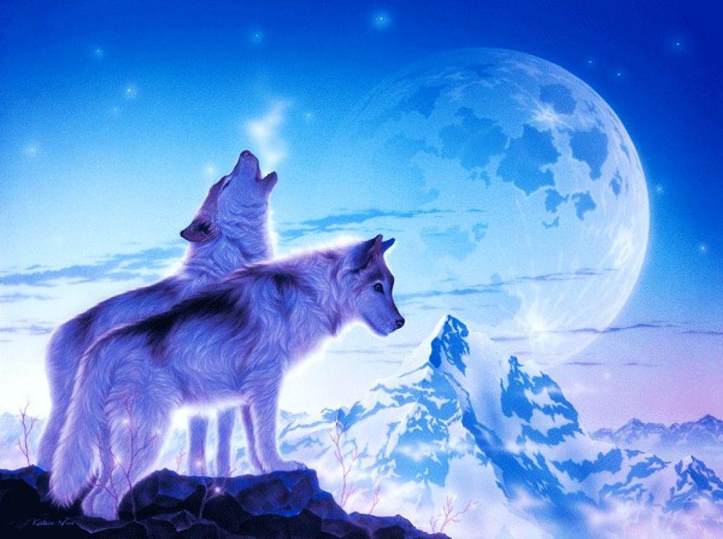 Blue Wolves Wallpapers Wallpaper Cave