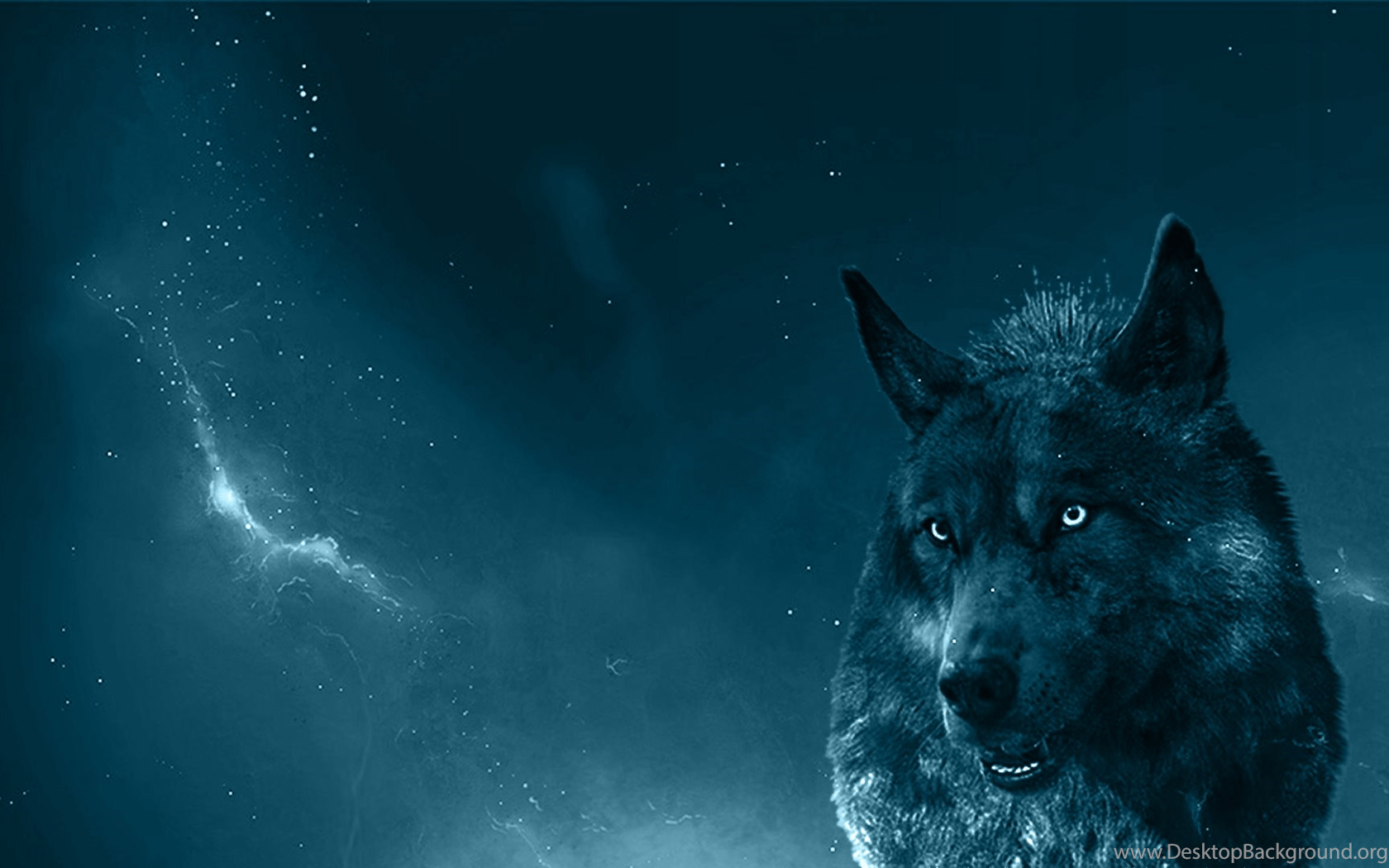 Blue Wolves Wallpapers Wallpaper Cave