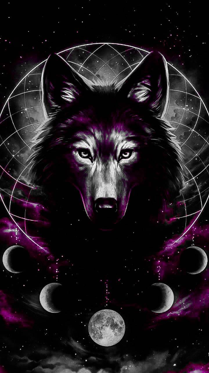 Pink Wolf Wallpapers Wallpaper Cave