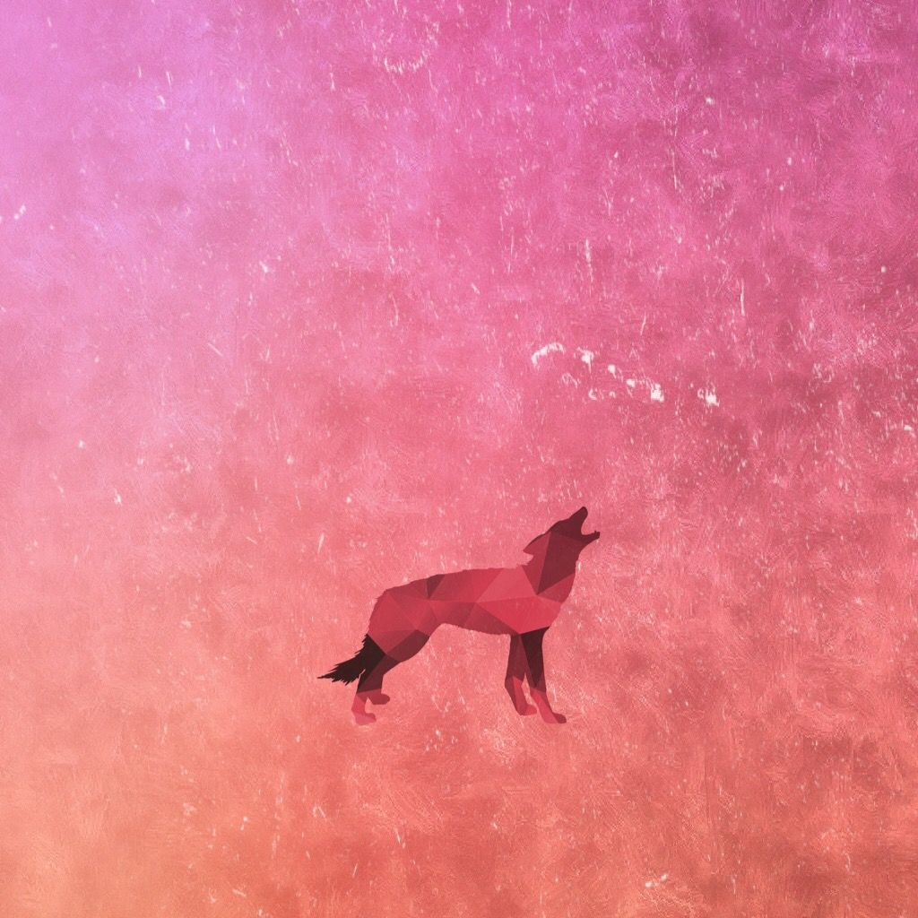 Pink Wolf Wallpapers Wallpaper Cave