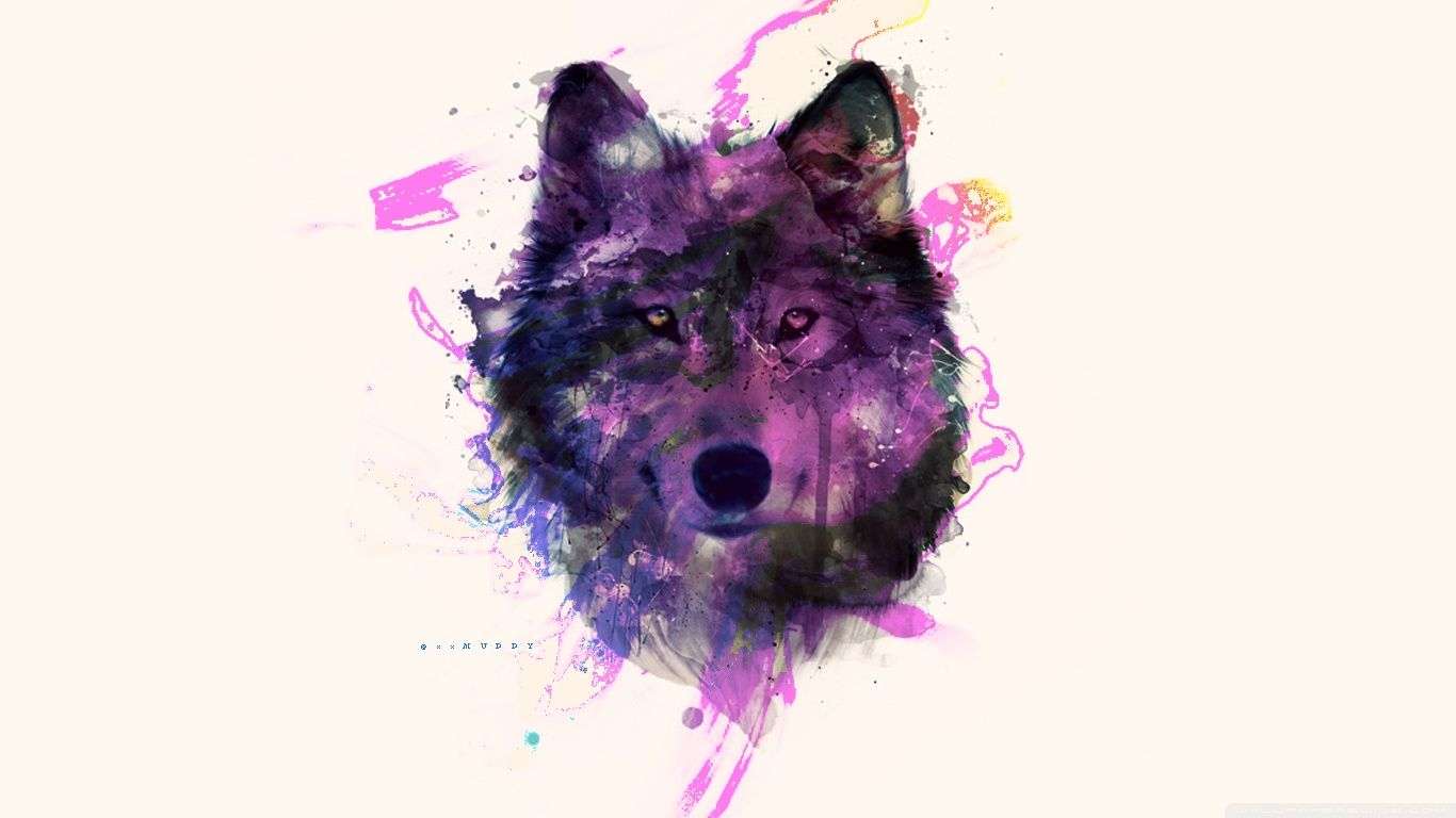 Pink Wolf Wallpapers Wallpaper Cave