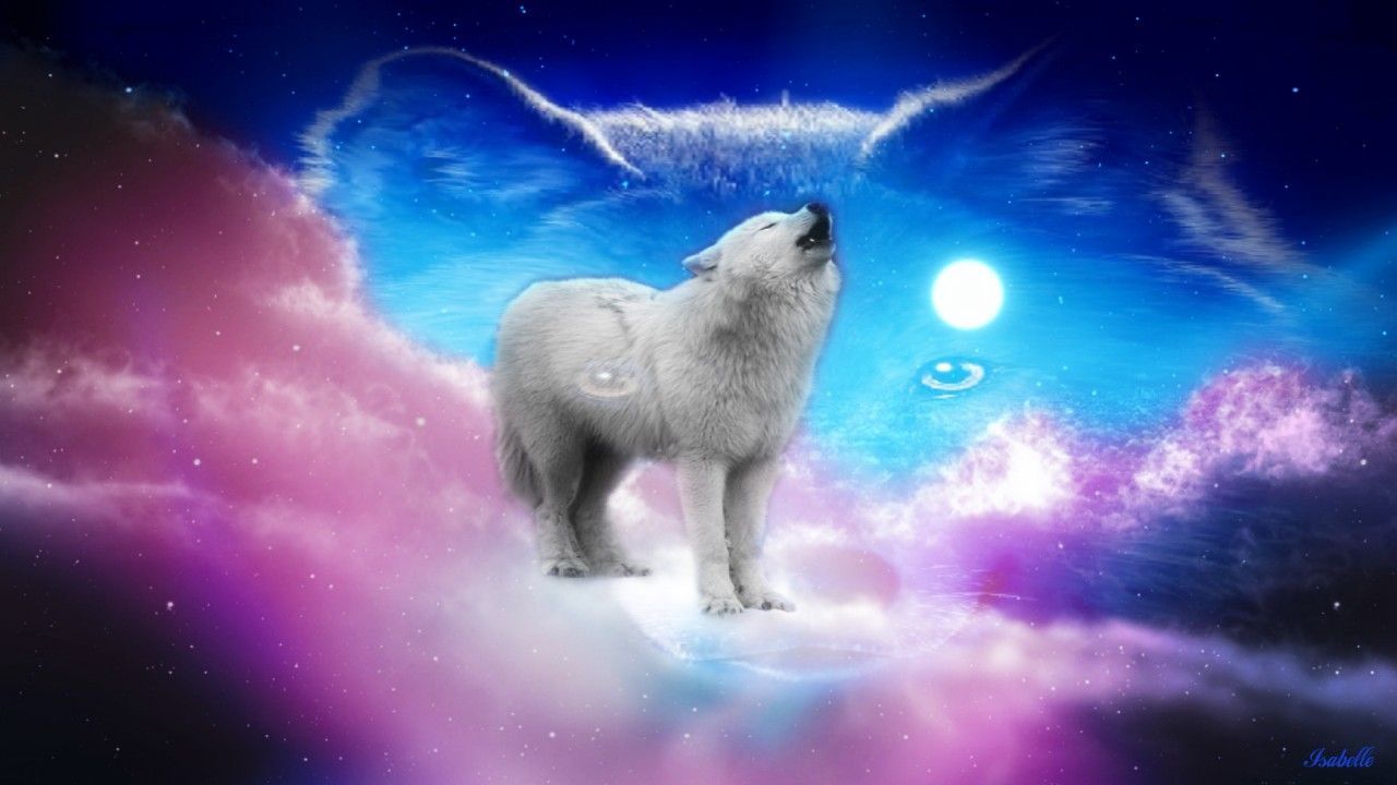 Pink Wolf Wallpapers Wallpaper Cave