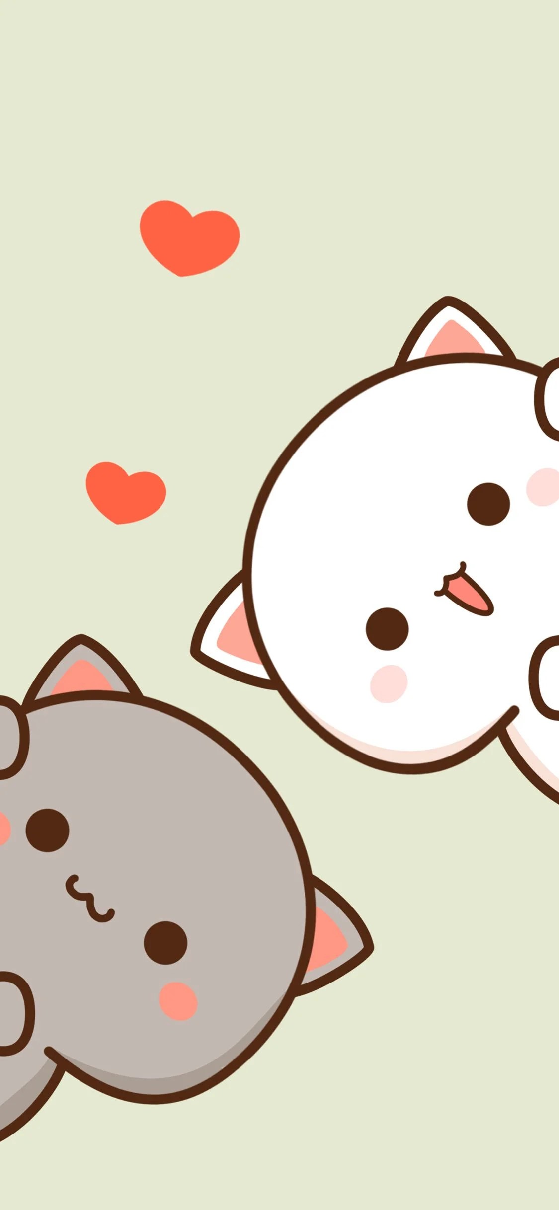 Mochi Cat Wallpapers Wallpaper Cave
