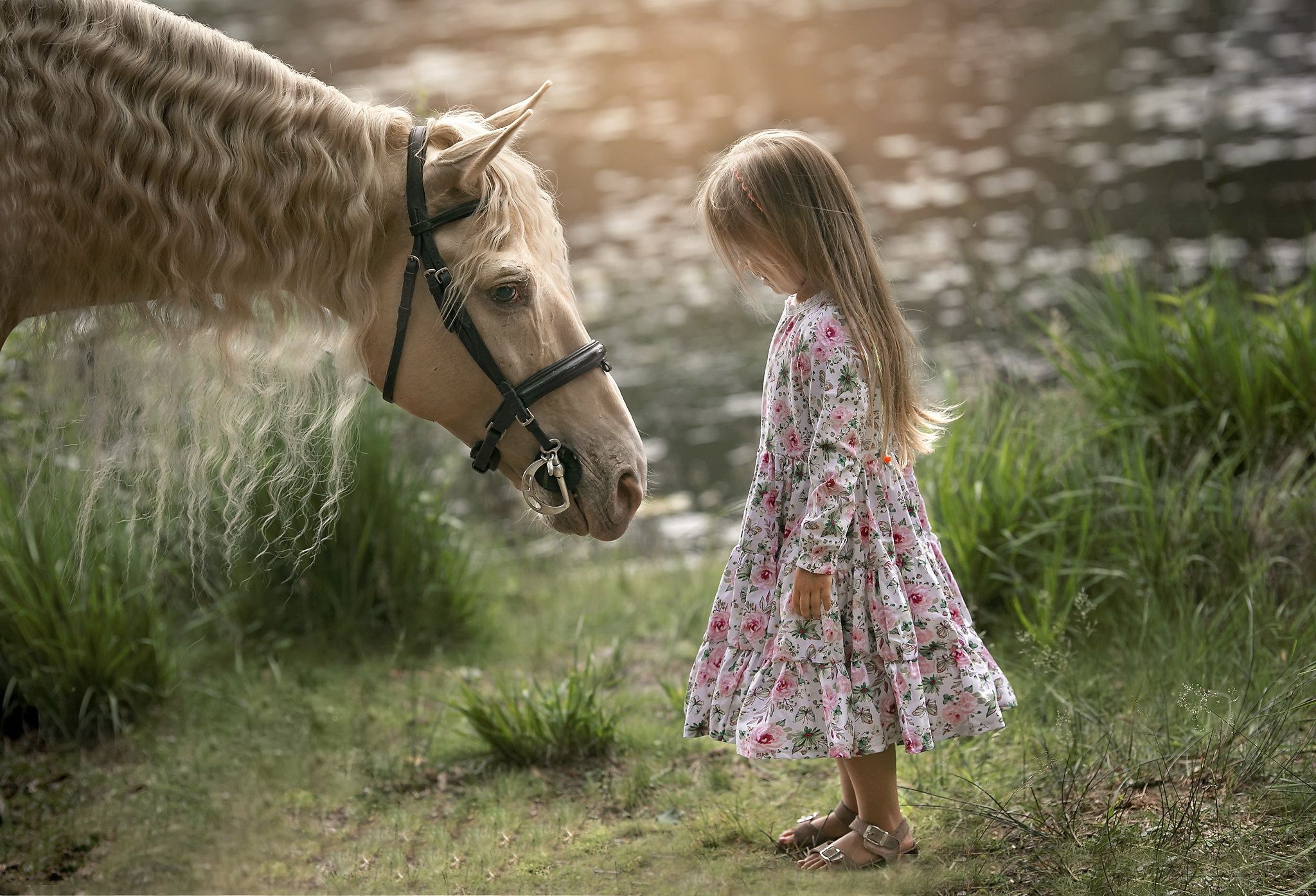 Little Girl And Horse Wallpapers Wallpaper Cave