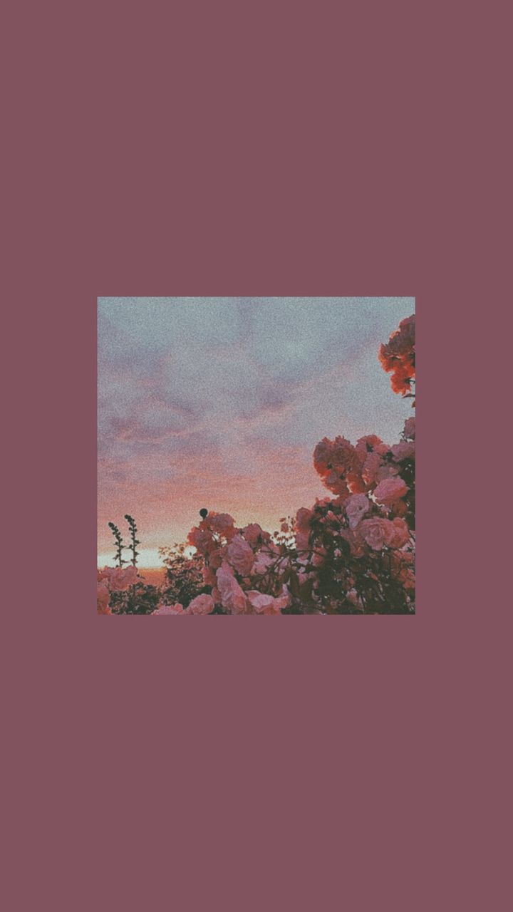 Artsy Aesthetic Wallpaper